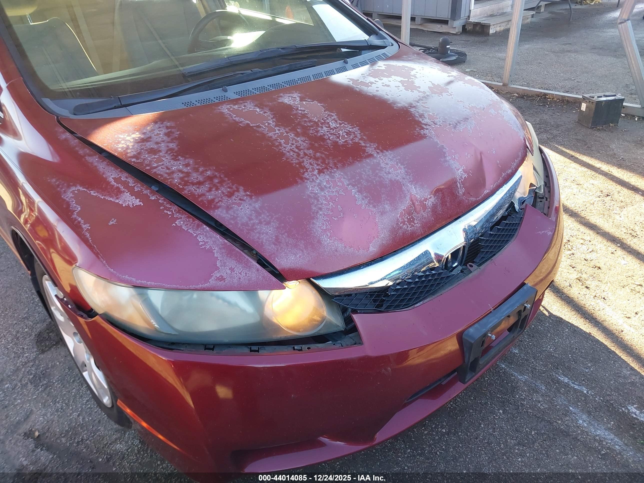 HONDA CIVIC image 6
