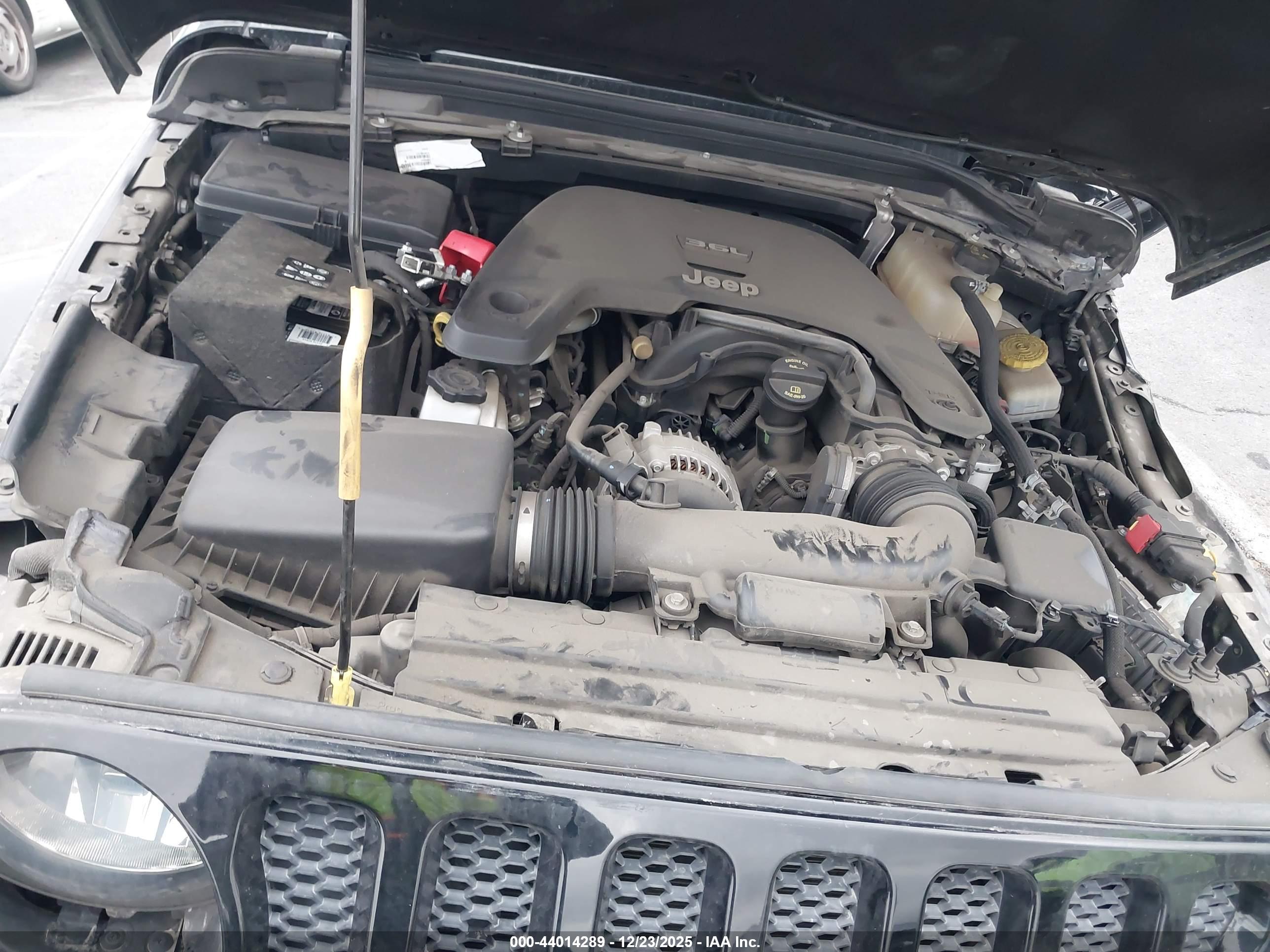 JEEP WRANGLER image 10