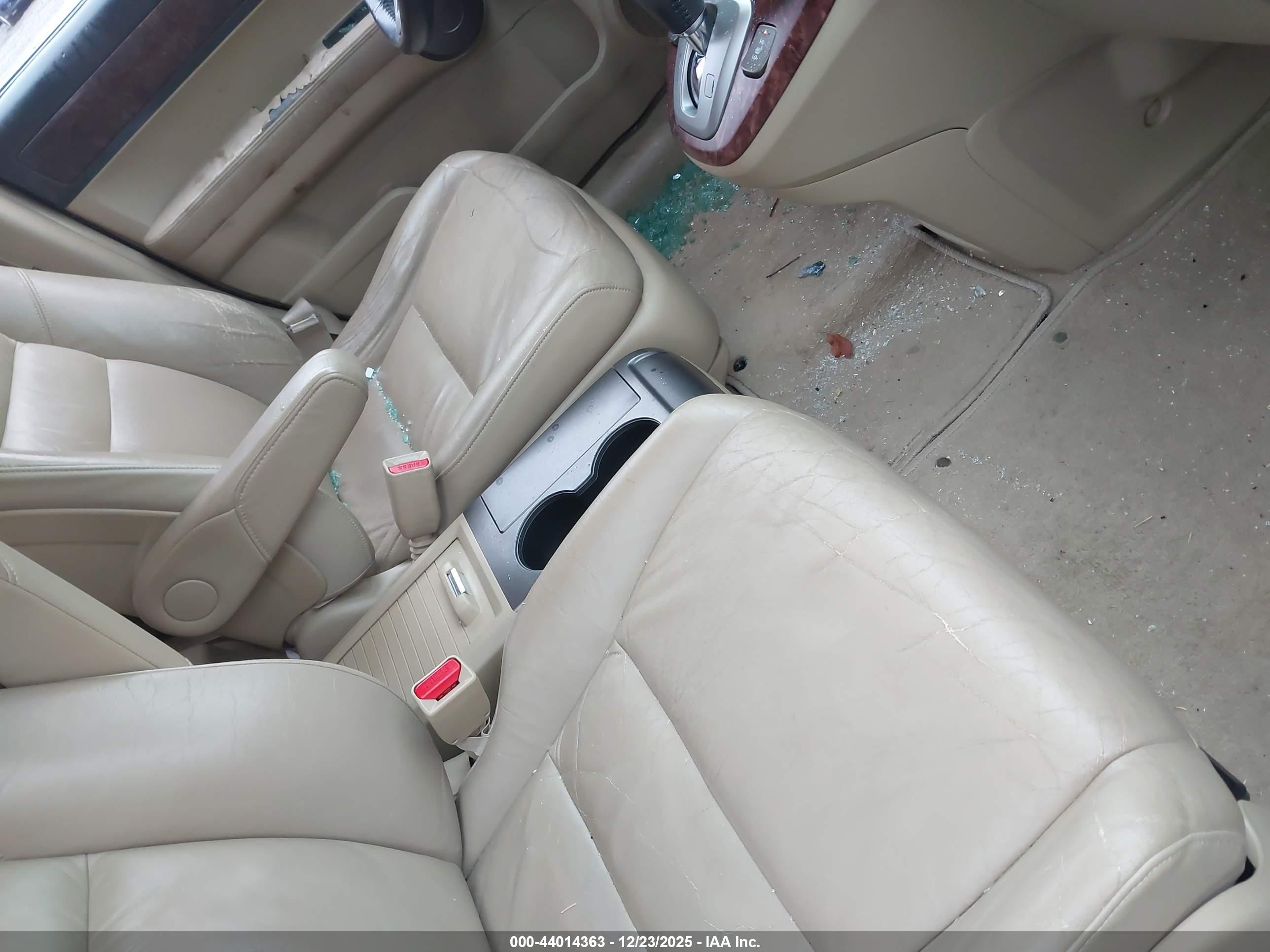 HONDA CR-V image 5