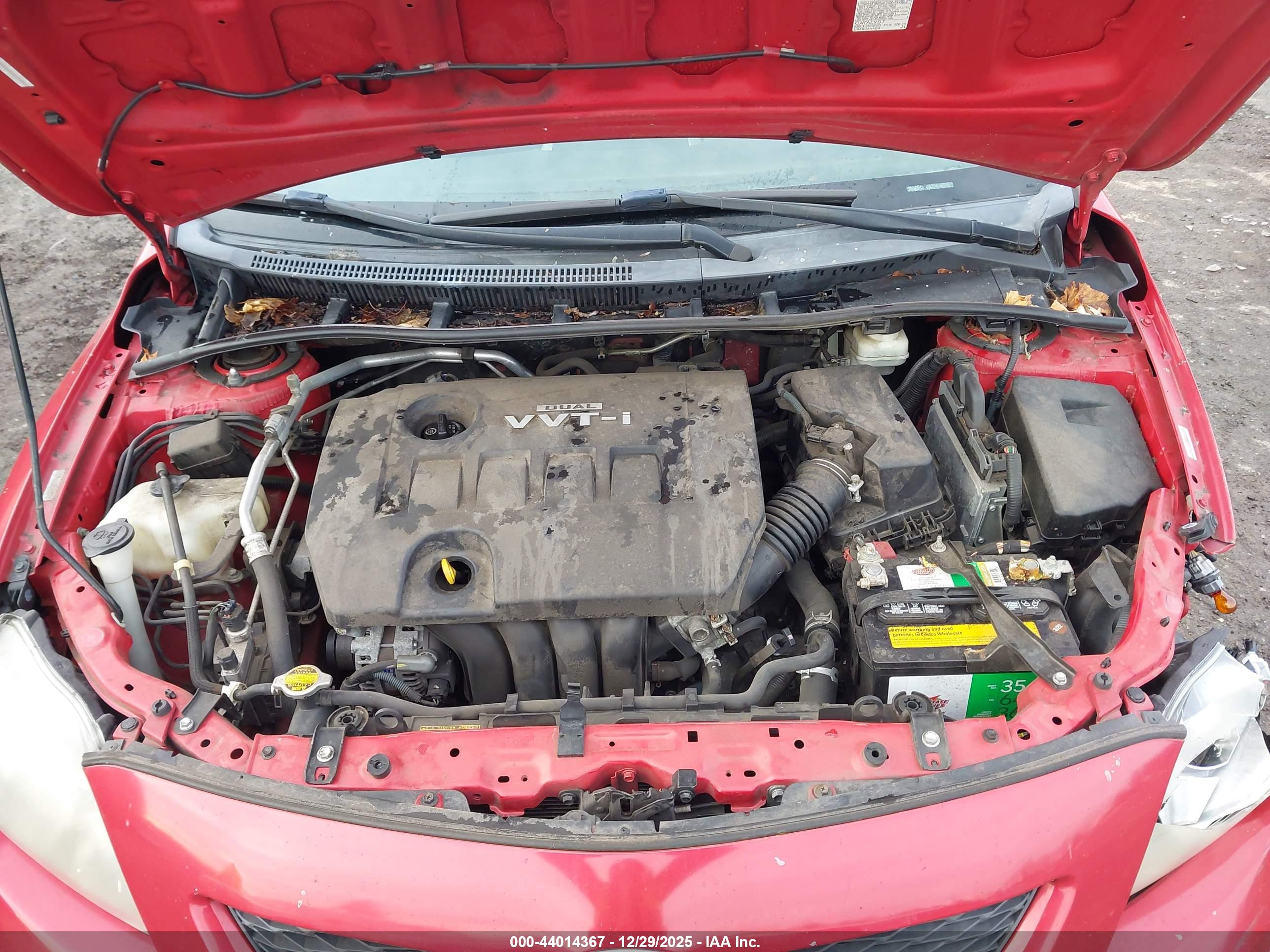TOYOTA COROLLA image 10