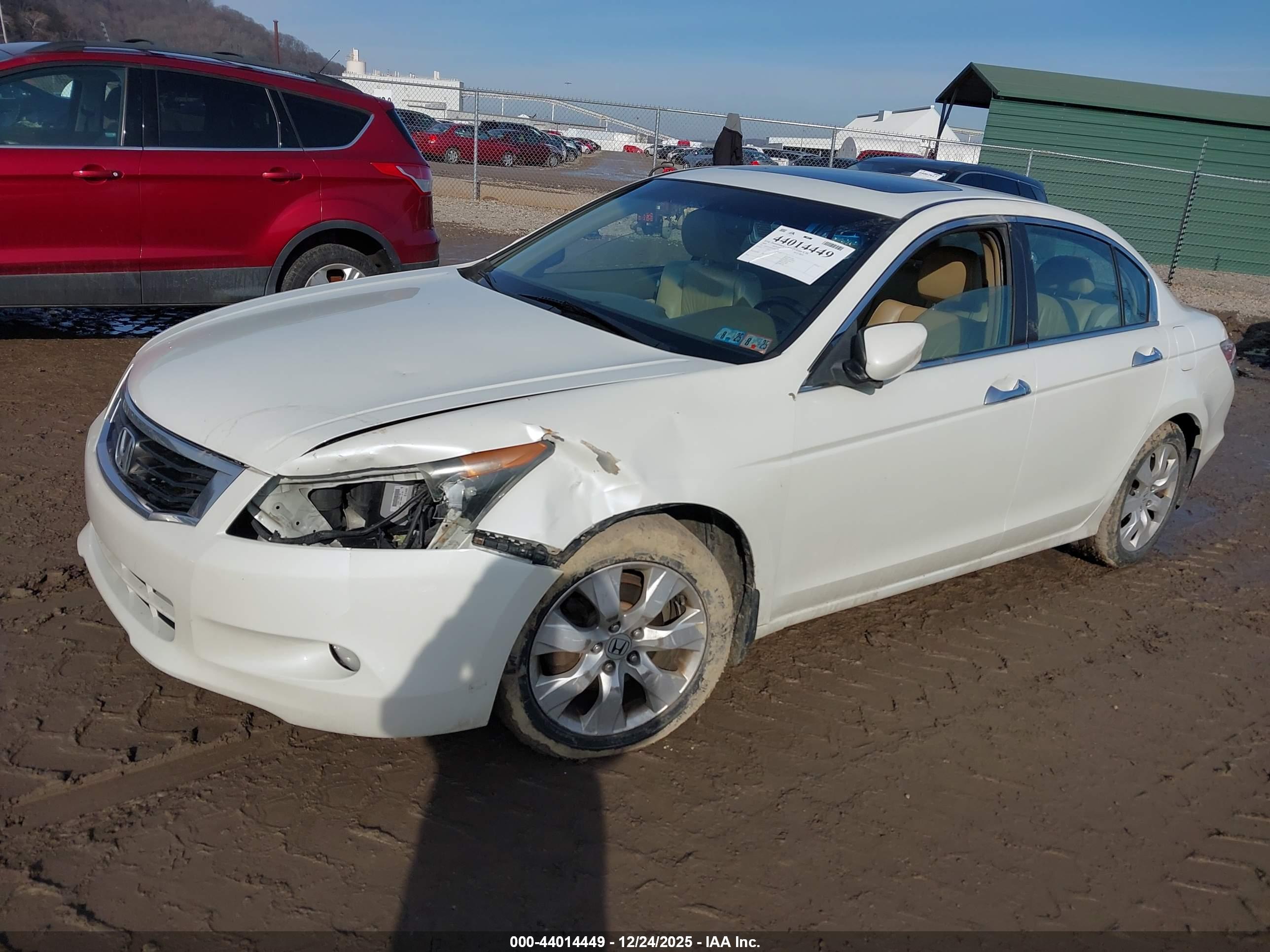 HONDA ACCORD image 2
