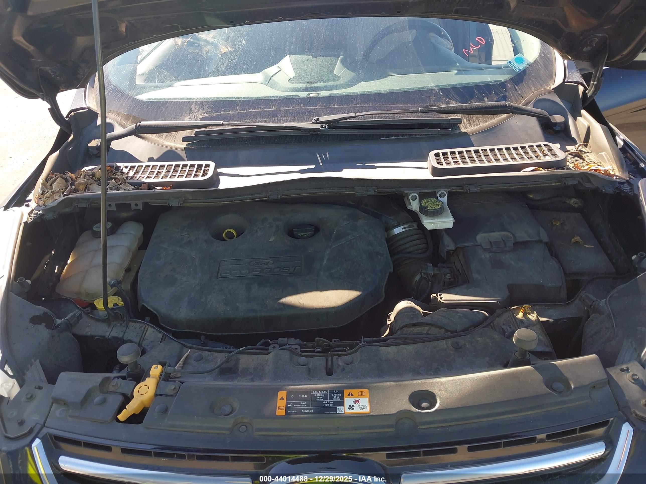 FORD ESCAPE image 10