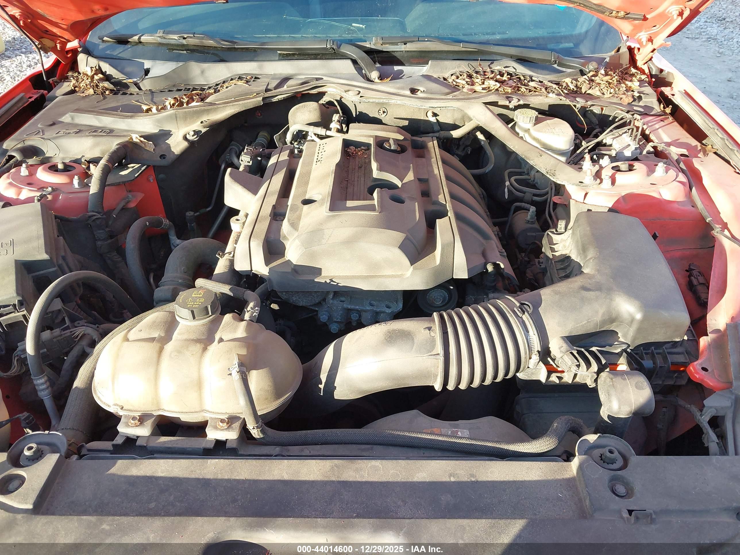 FORD MUSTANG image 10
