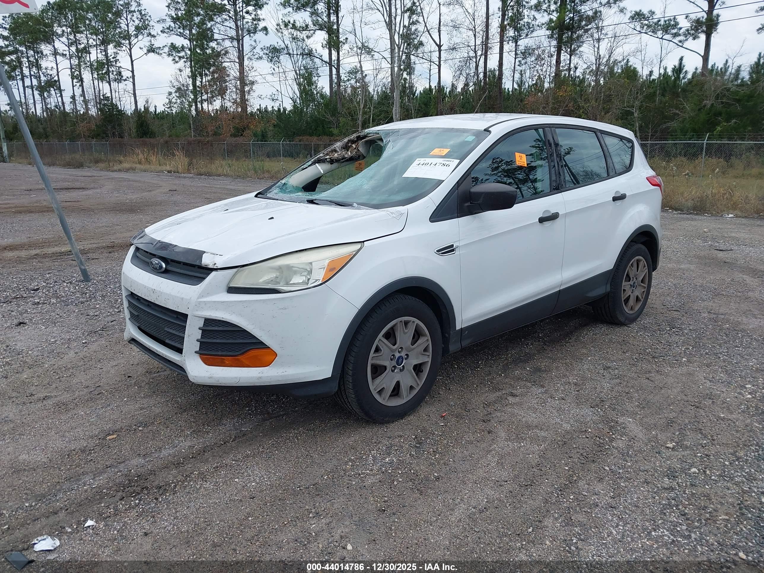 FORD ESCAPE image 2