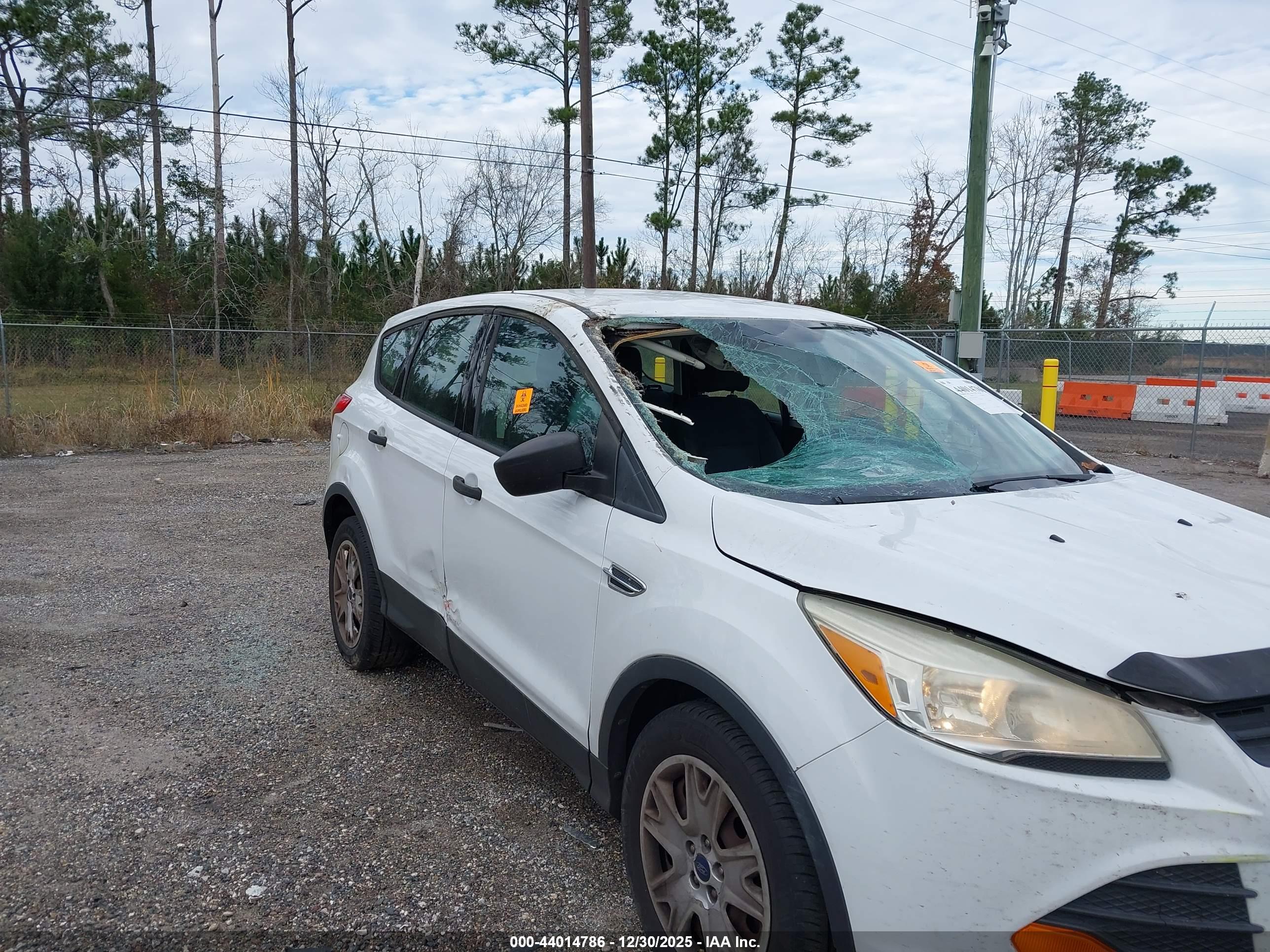 FORD ESCAPE image 6