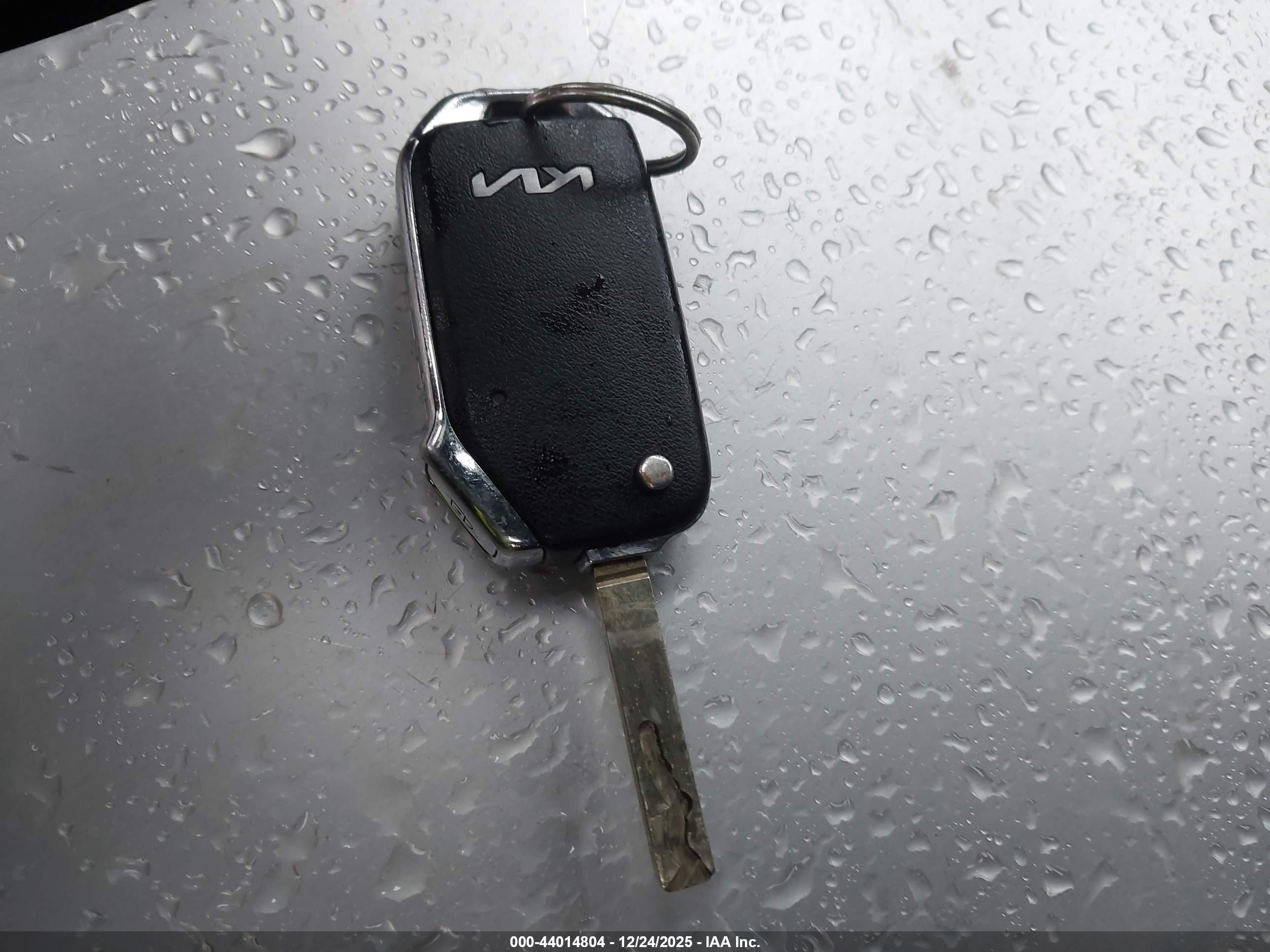 KIA SPORTAGE image 11