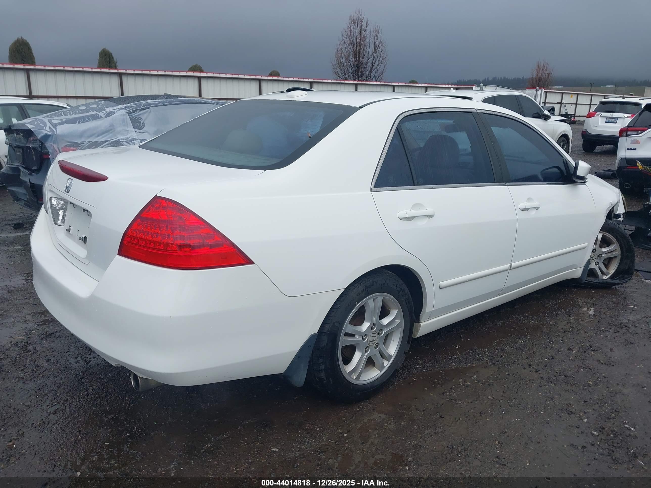 HONDA ACCORD image 4