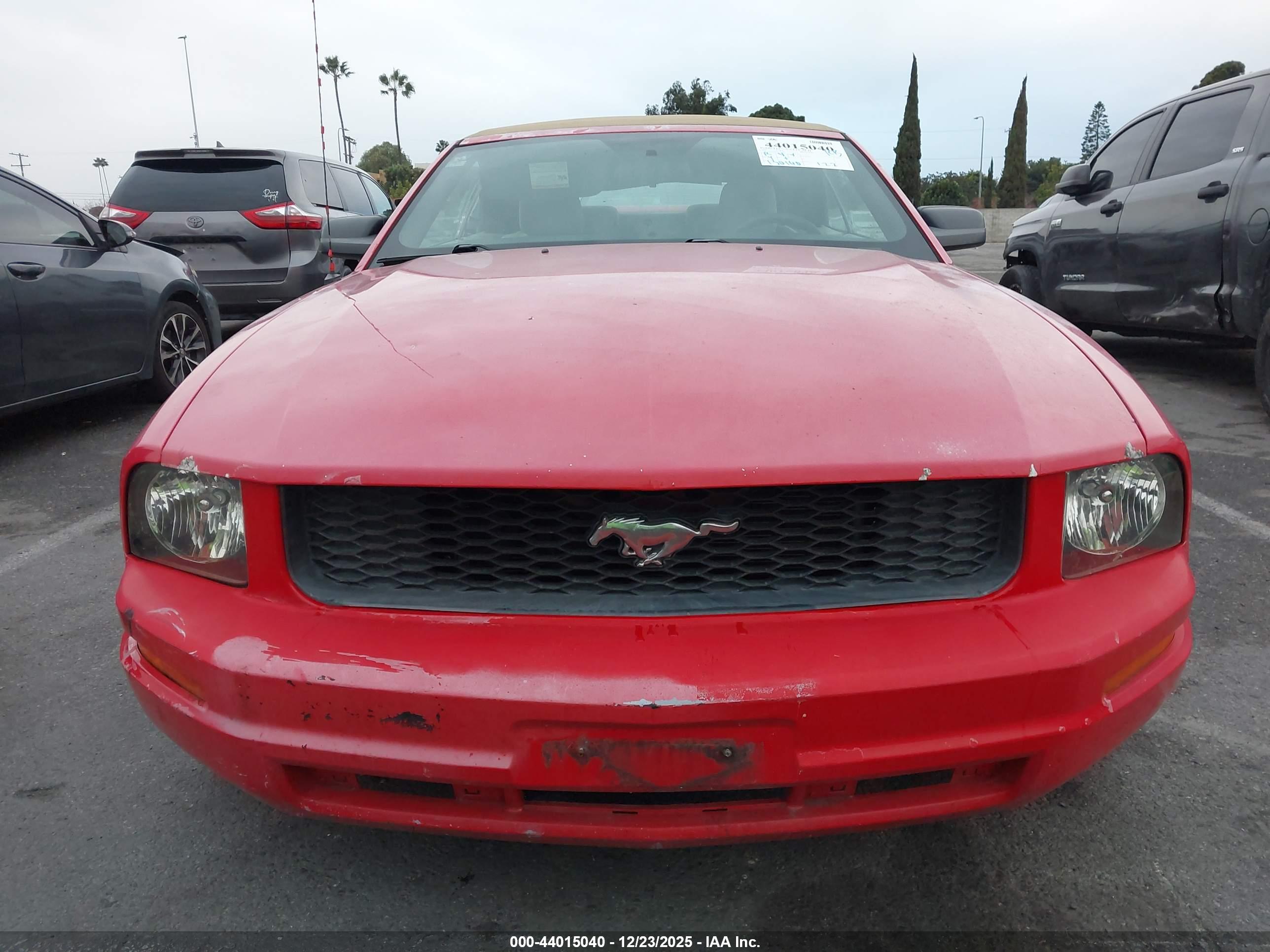 FORD MUSTANG image 6