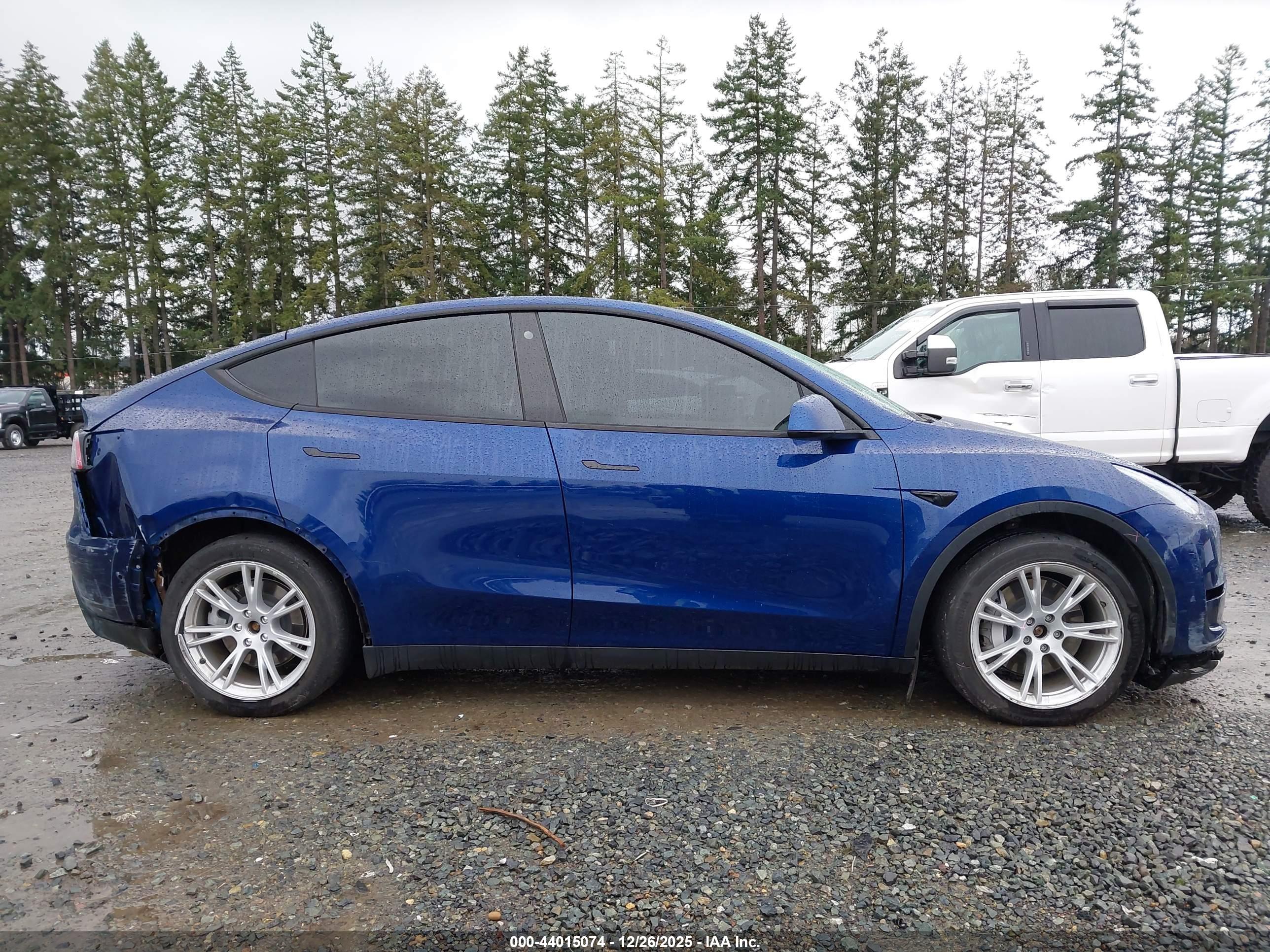 TESLA MODEL image 6