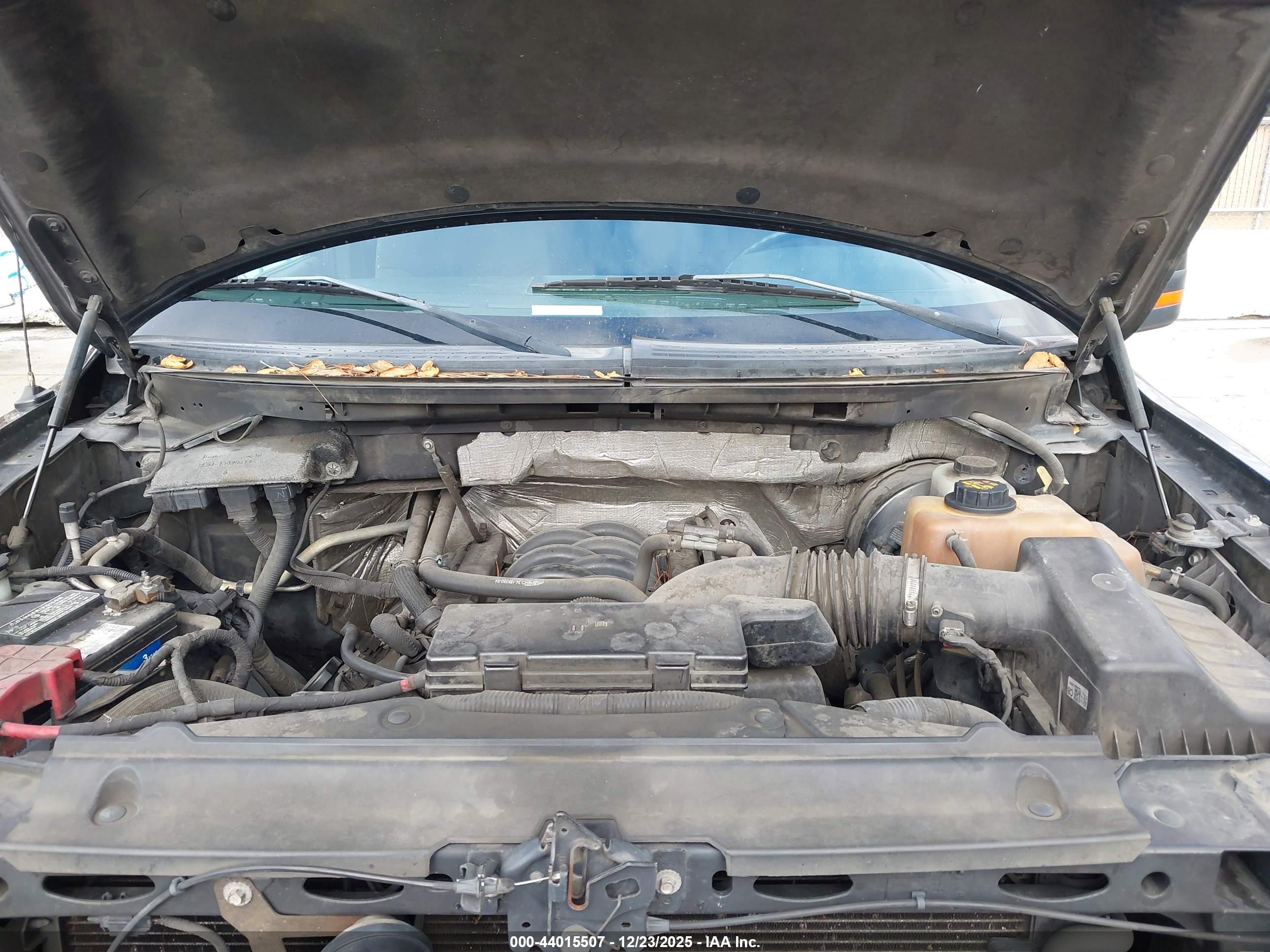 FORD F-150 image 10