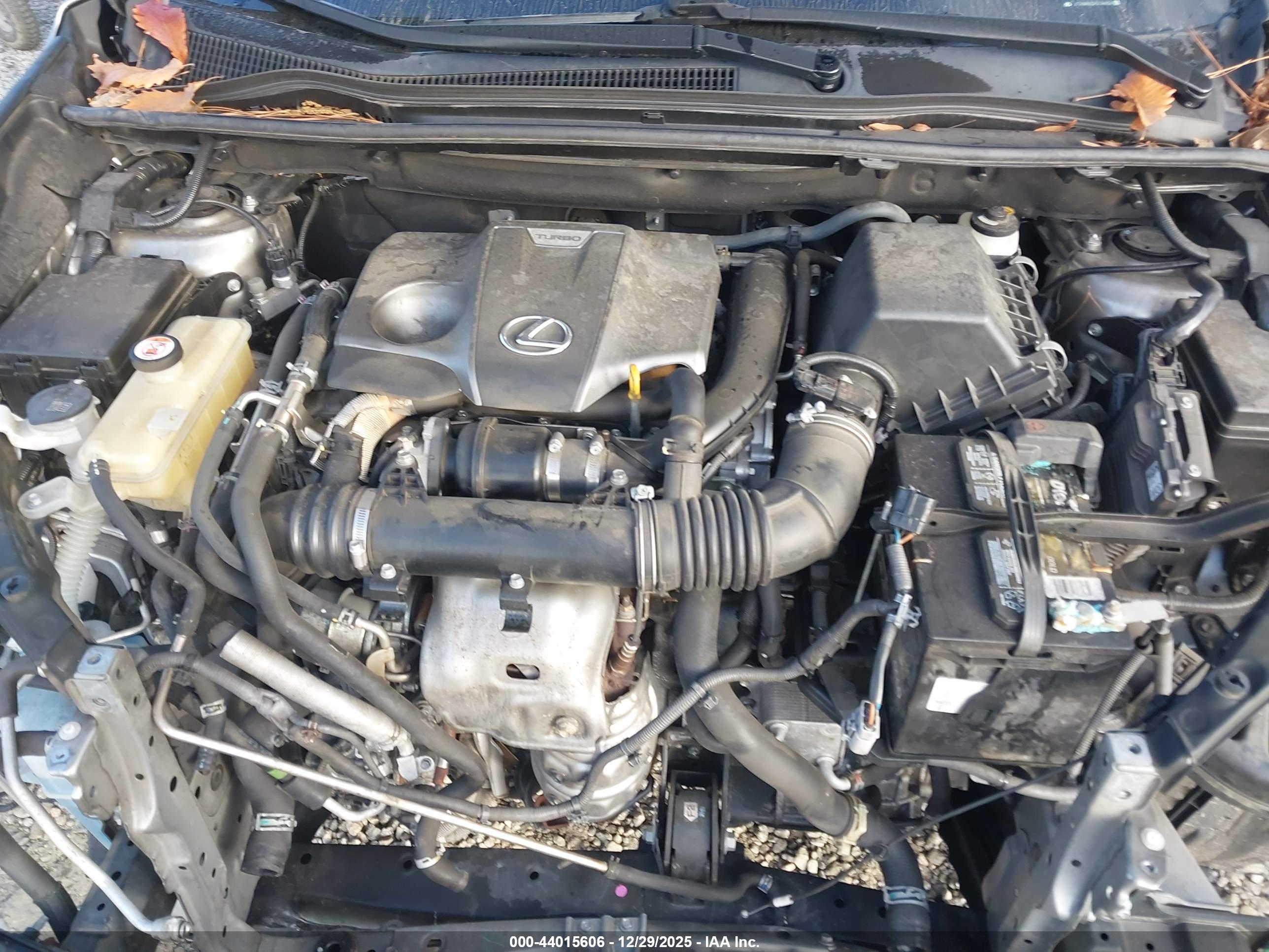 LEXUS NX image 10
