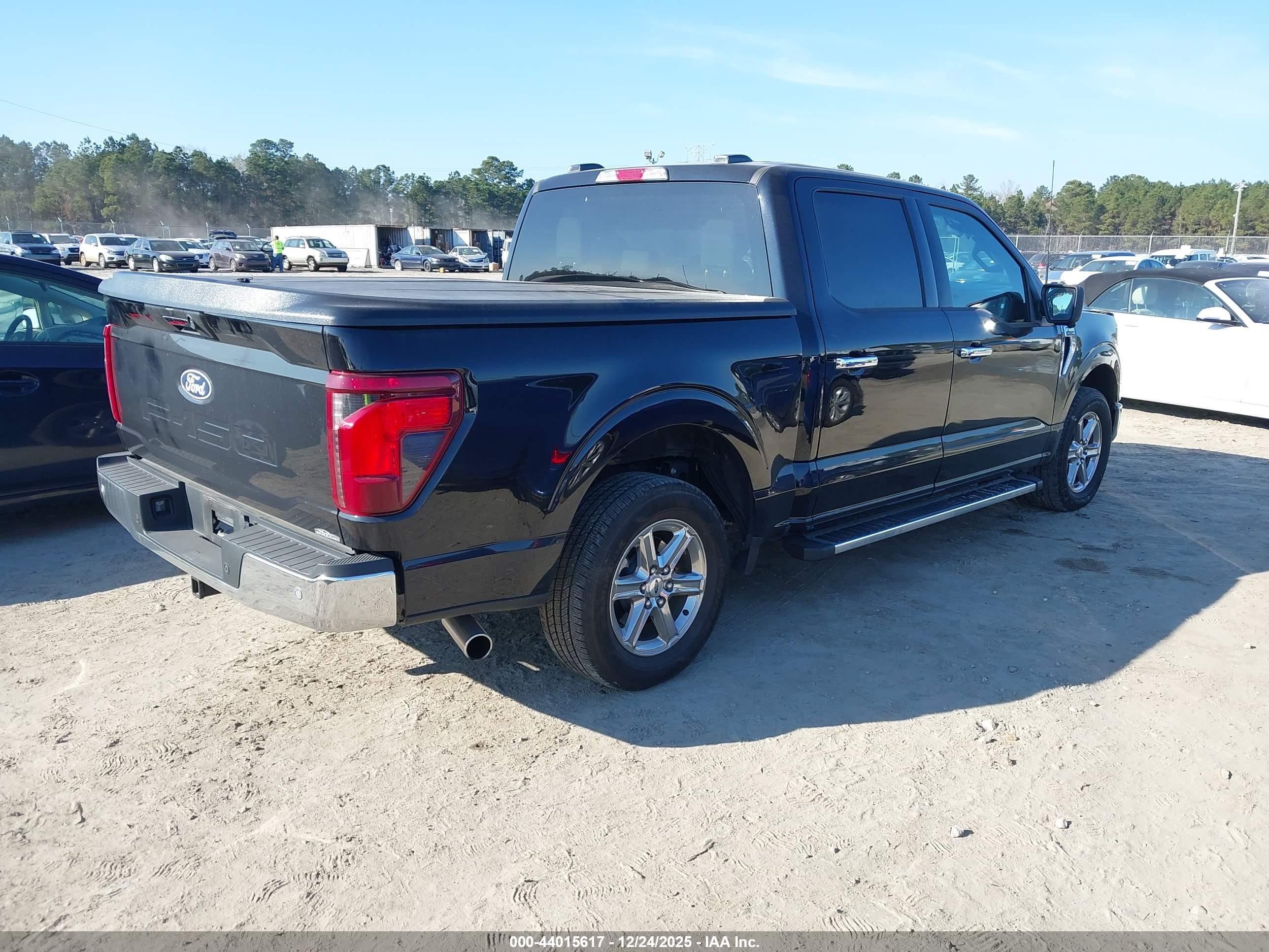 FORD F-150 image 4