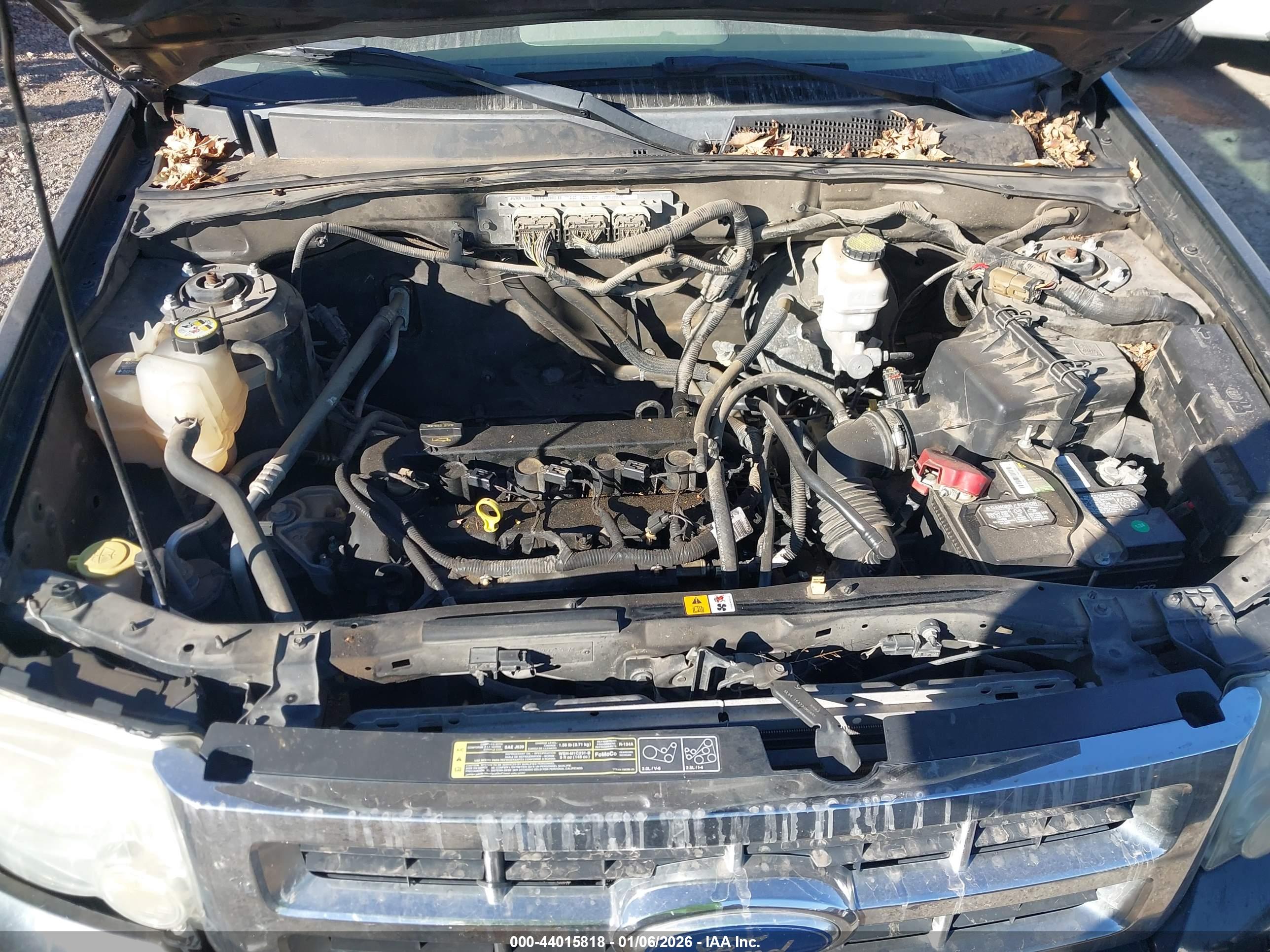 FORD ESCAPE image 10
