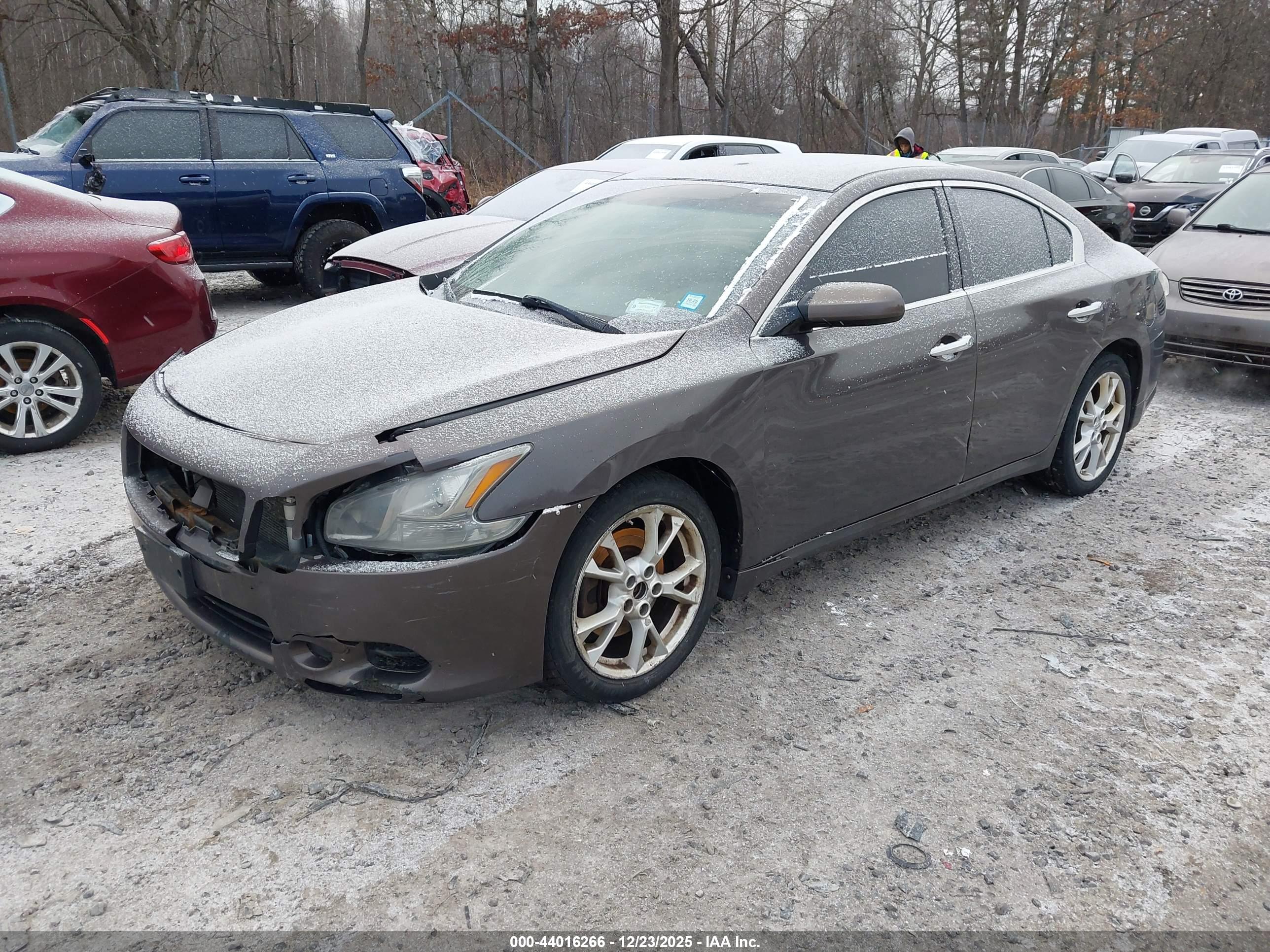 NISSAN MAXIMA image 2