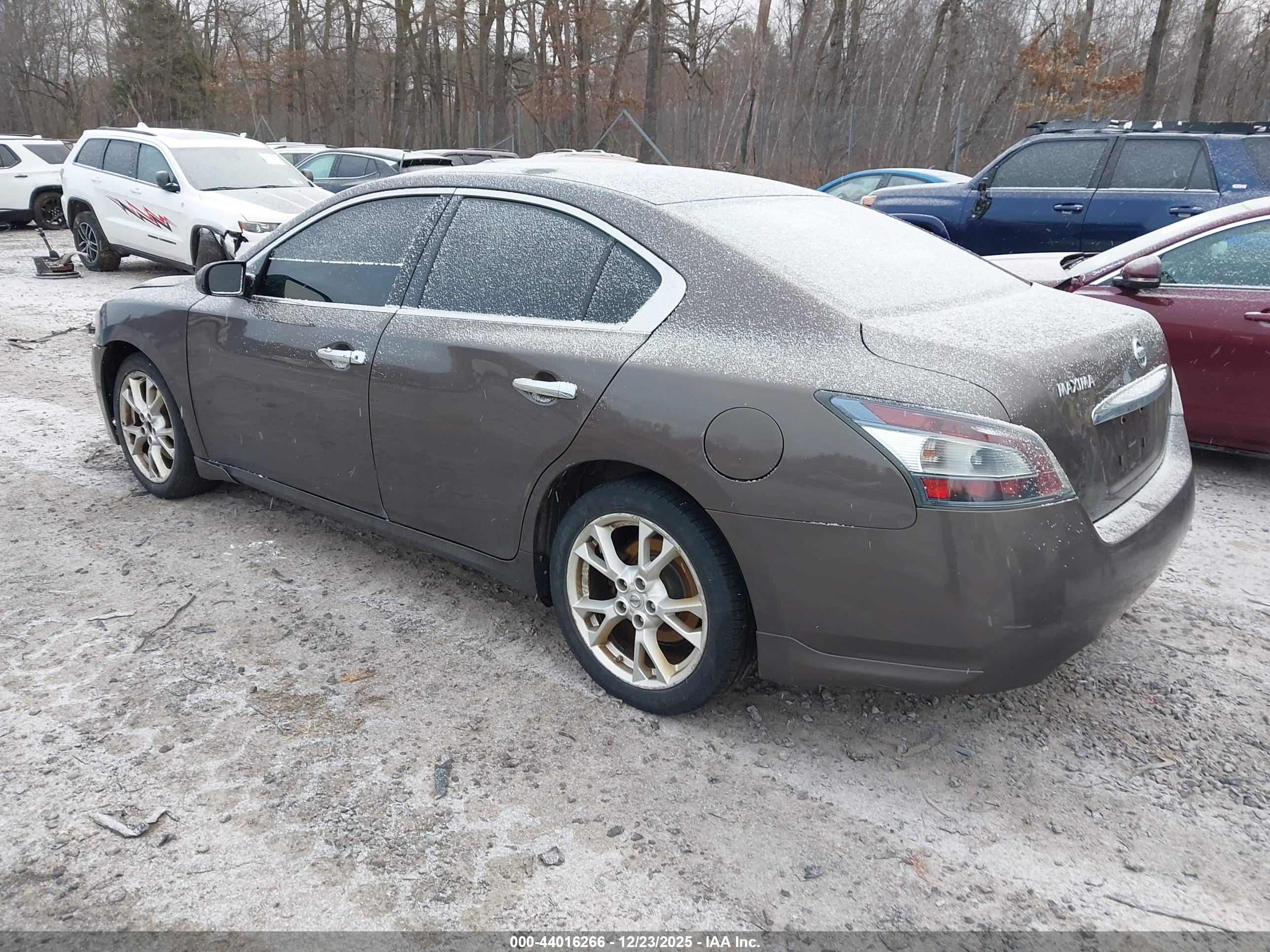 NISSAN MAXIMA image 3
