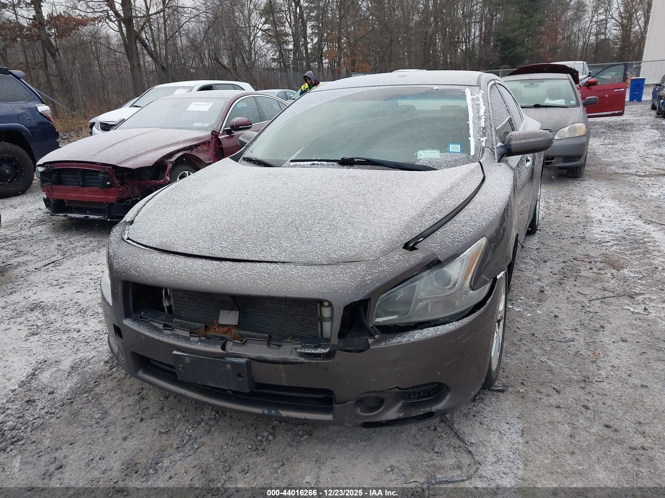NISSAN MAXIMA image 6