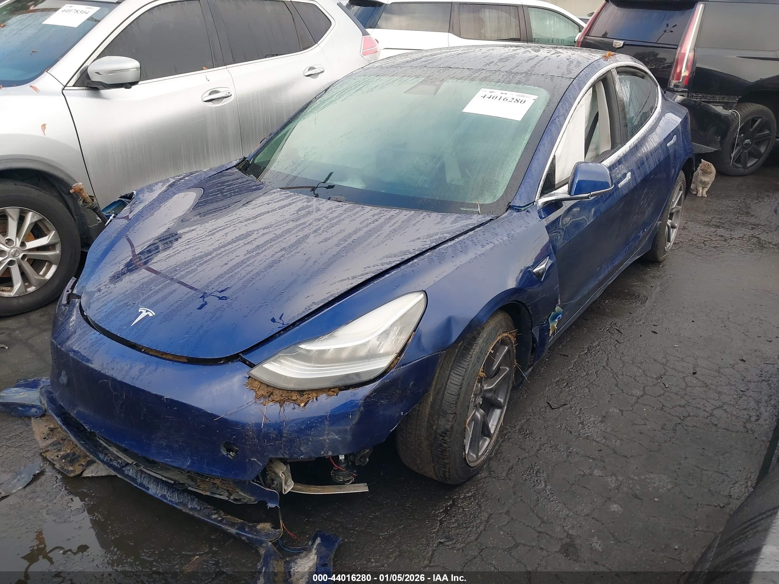 TESLA MODEL image 2
