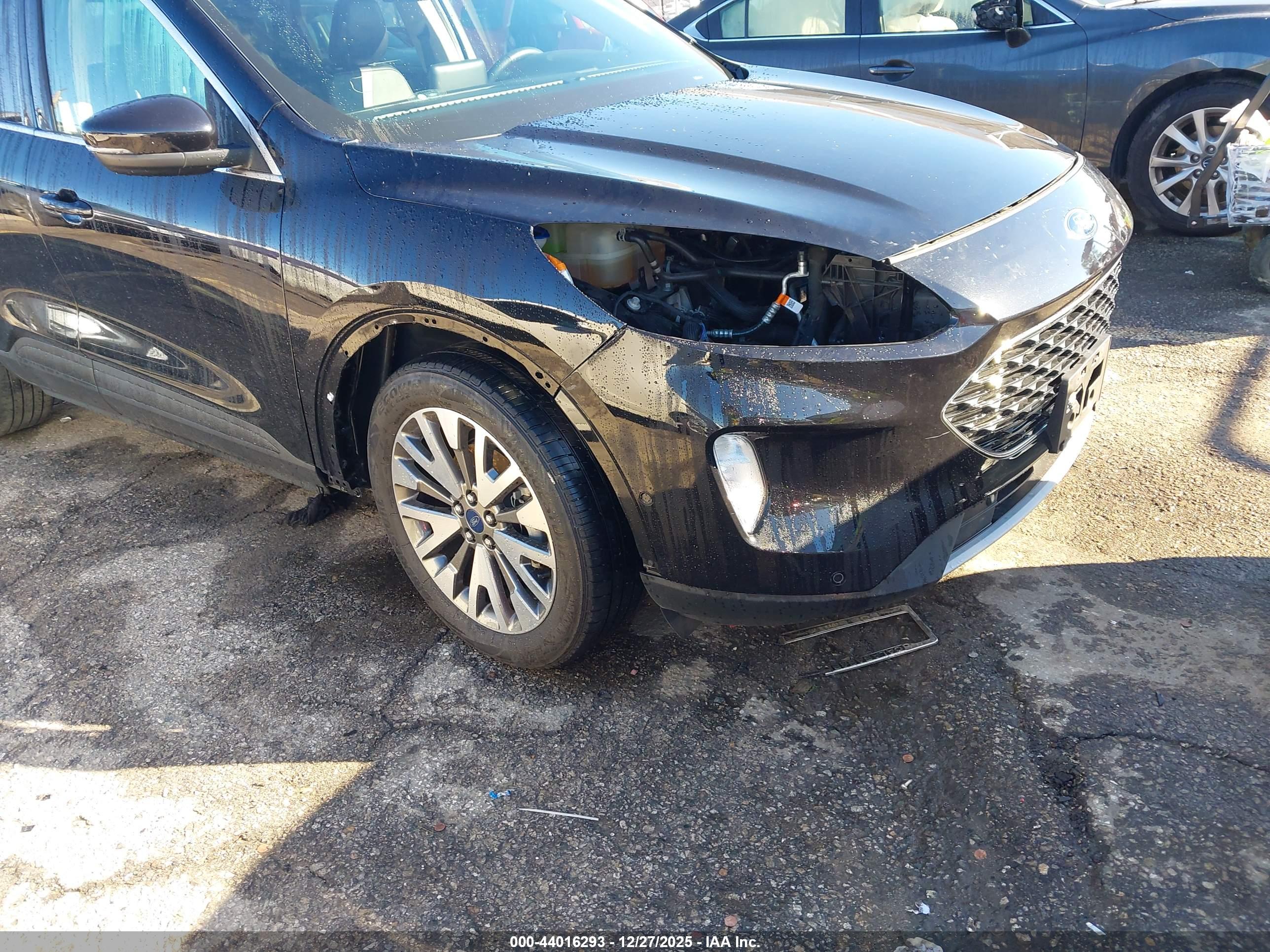 FORD ESCAPE image 6