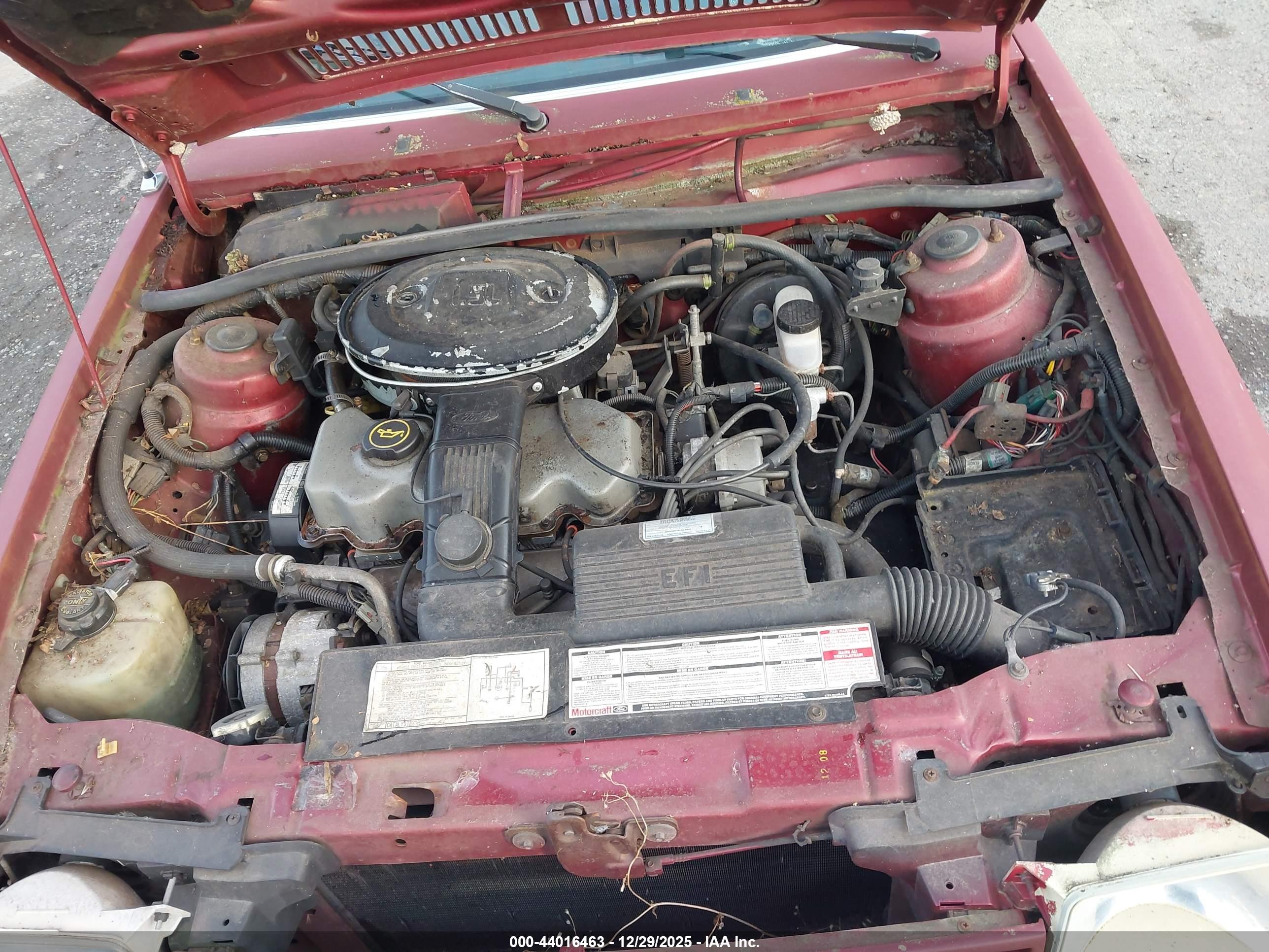 FORD ESCORT image 10