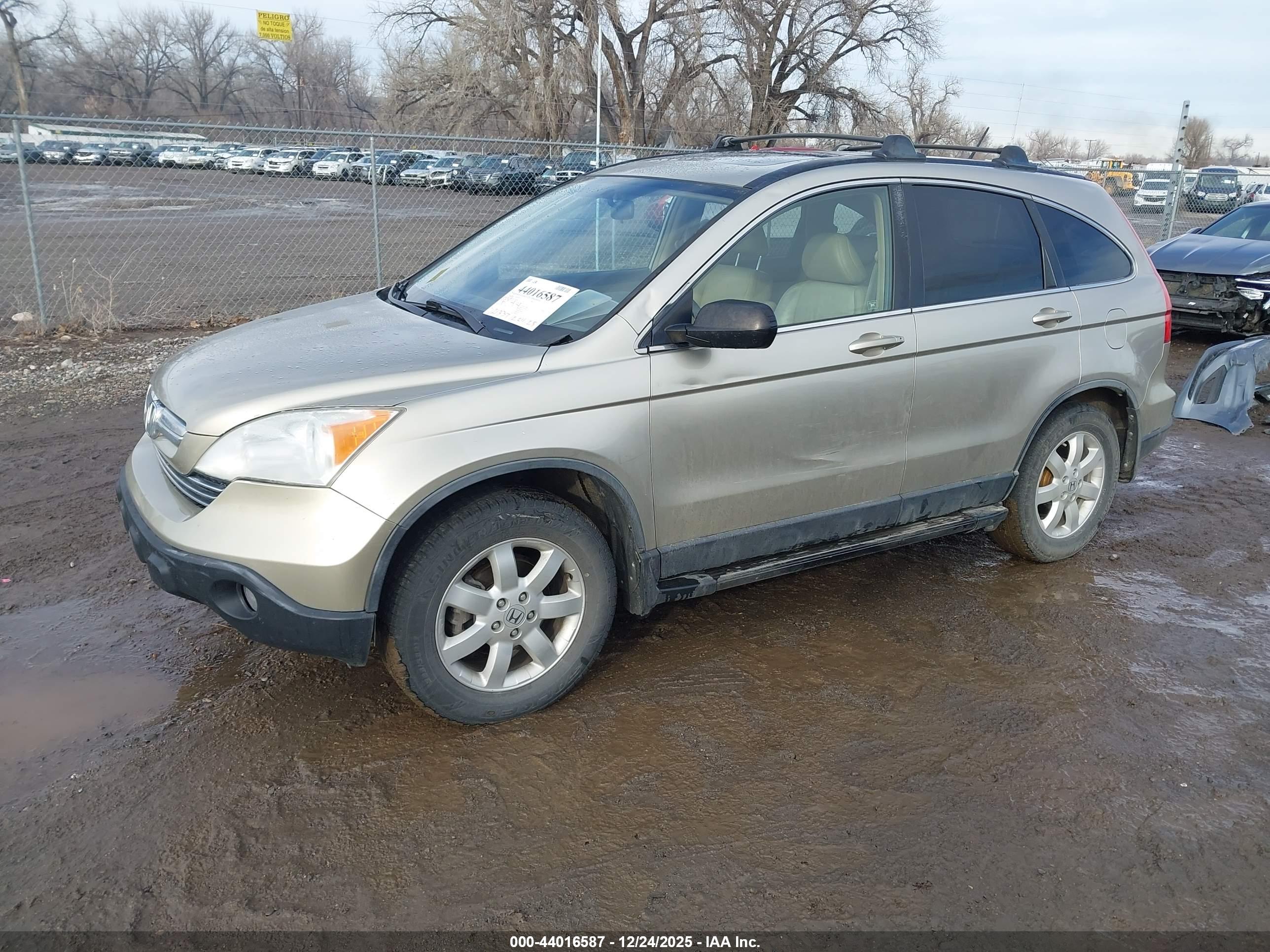 HONDA CR-V image 2