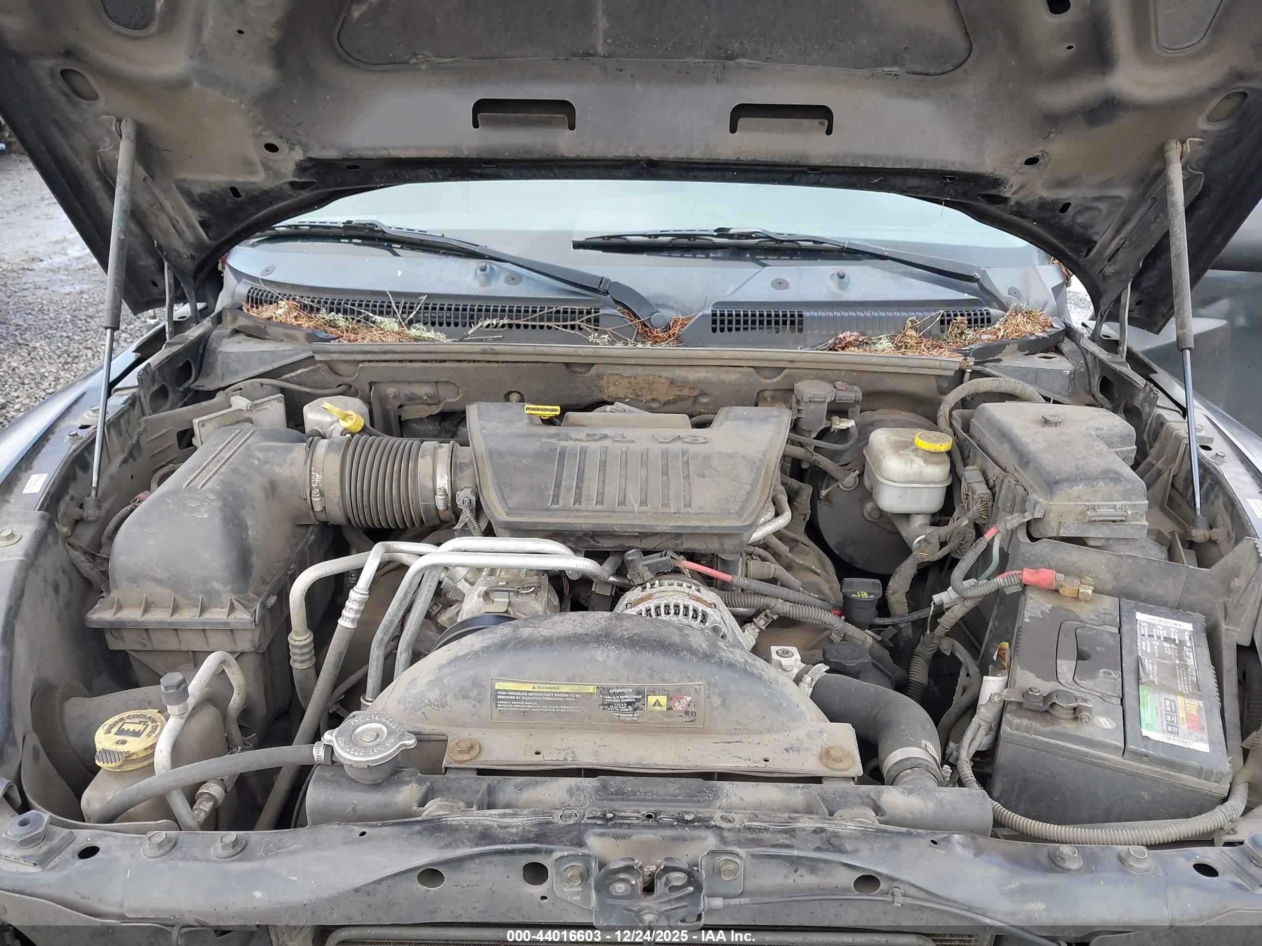 DODGE DAKOTA image 10