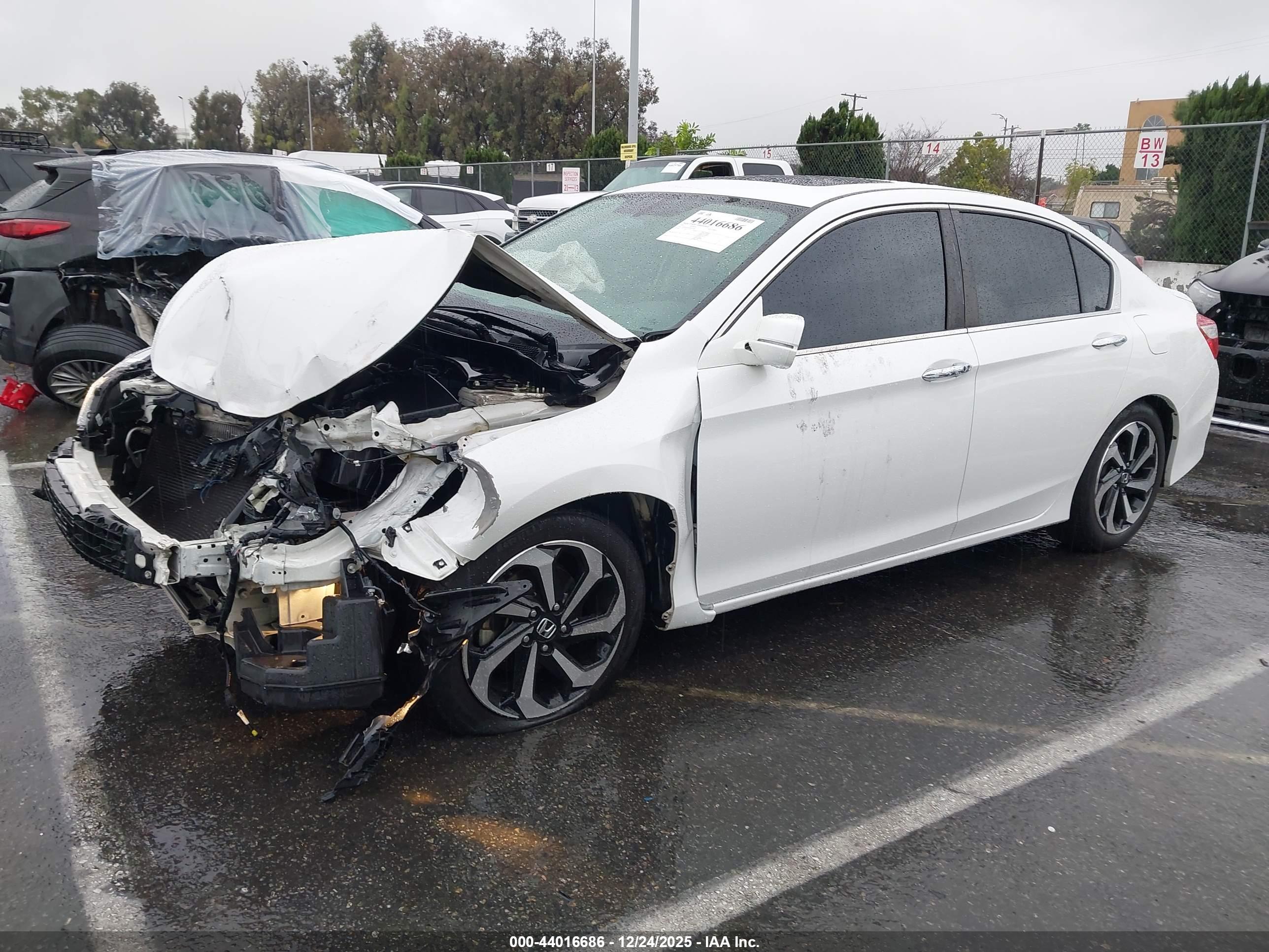 HONDA ACCORD image 2