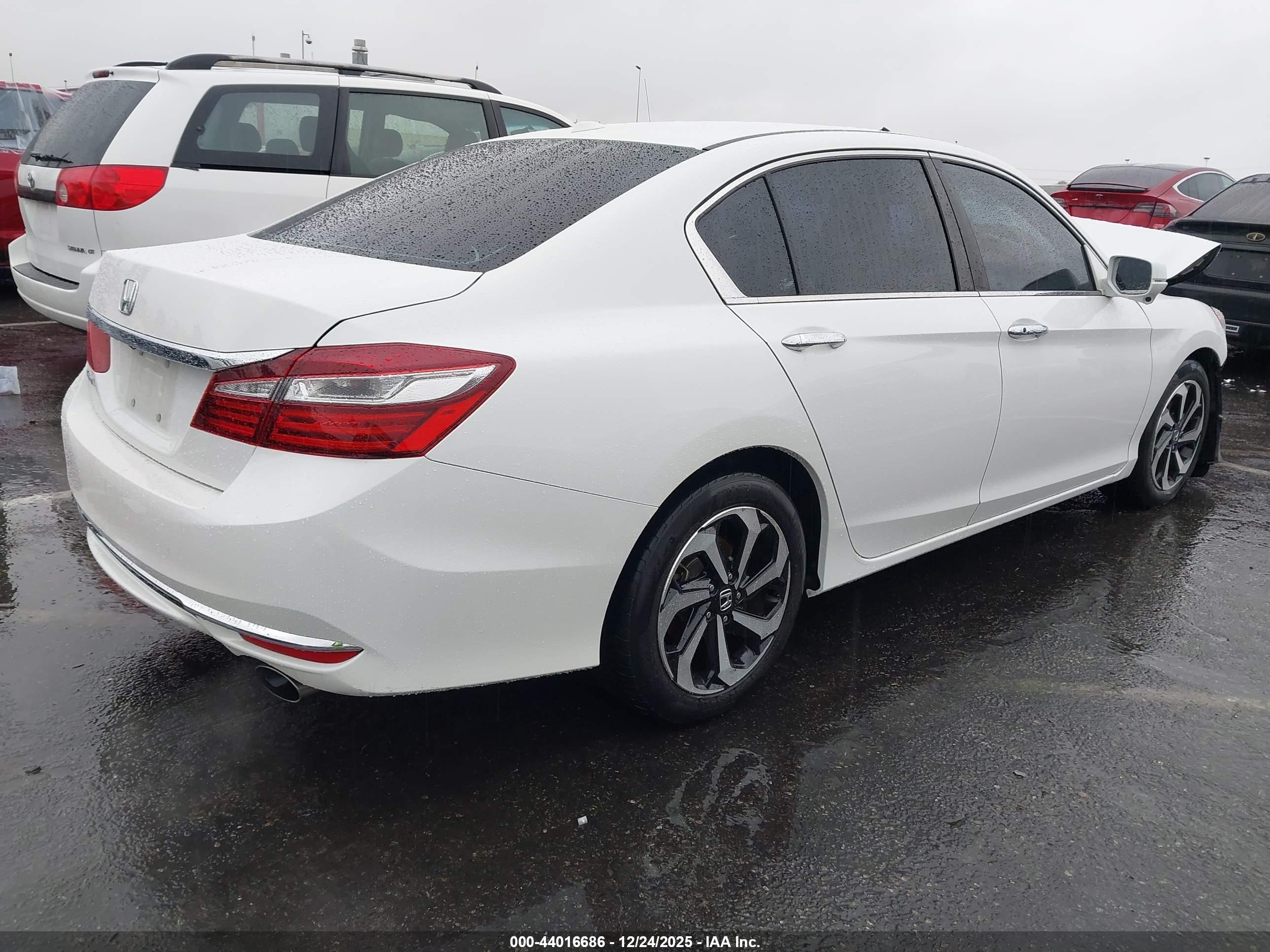 HONDA ACCORD image 4