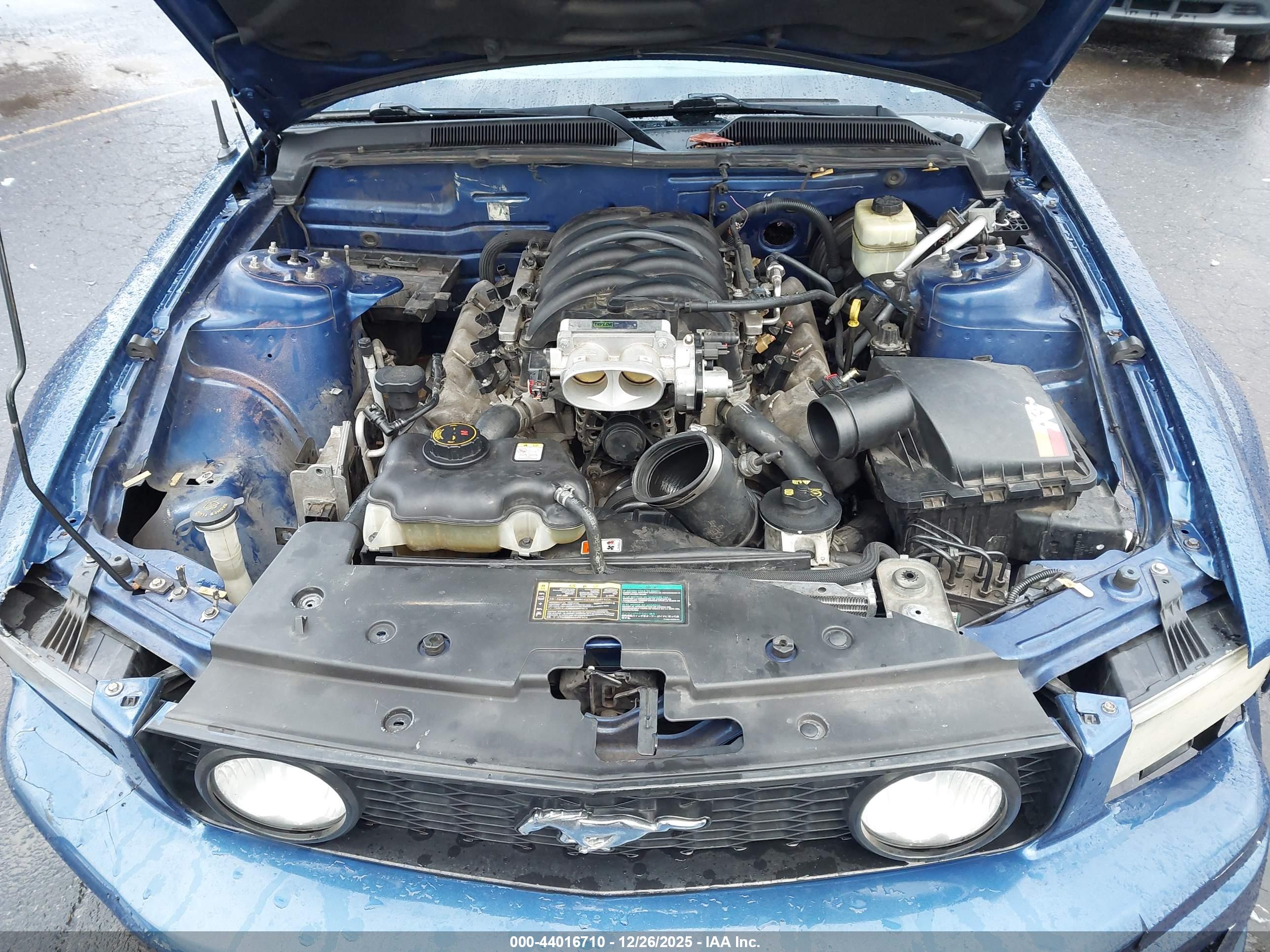 FORD MUSTANG image 10