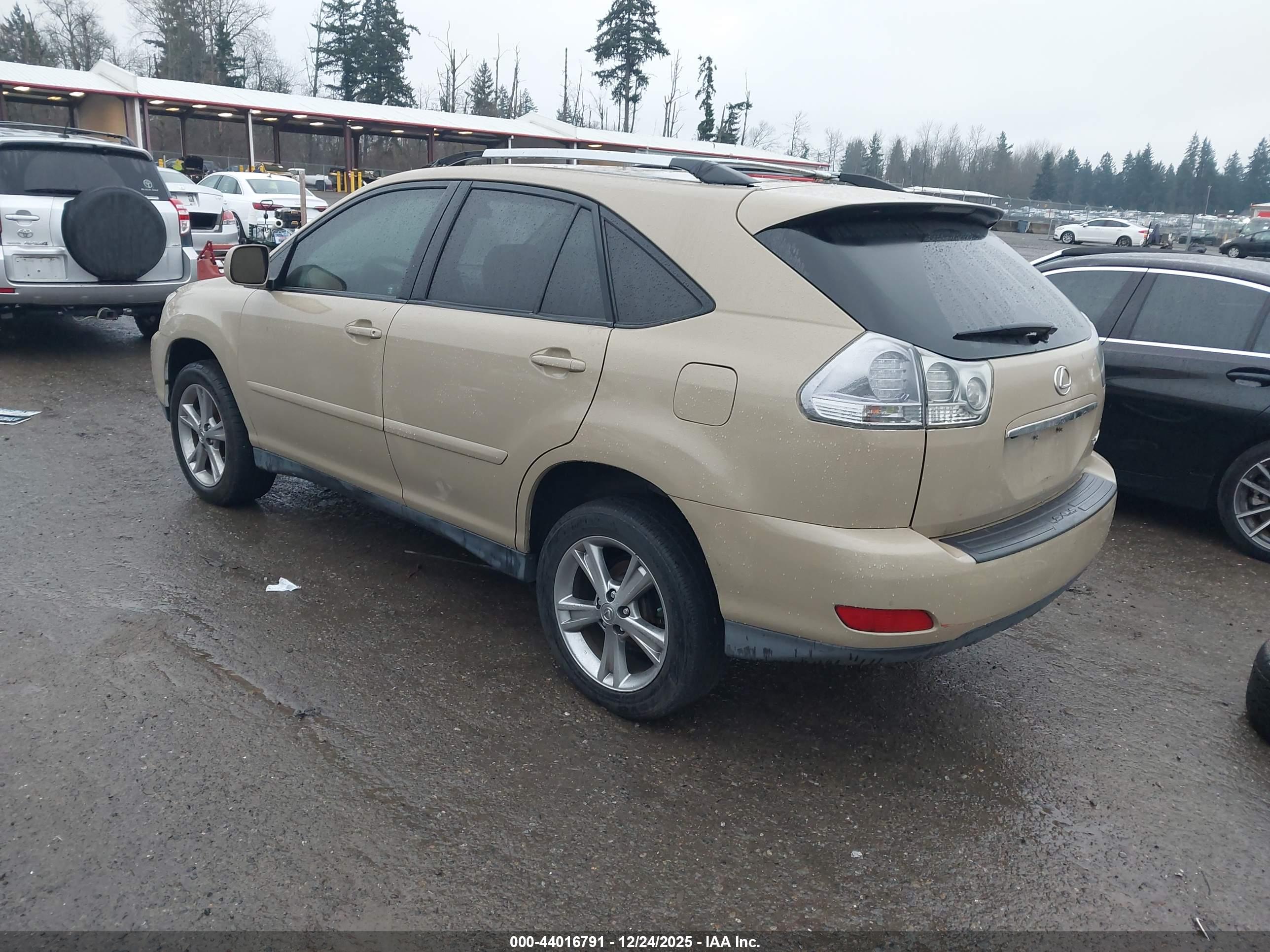 LEXUS RX image 3