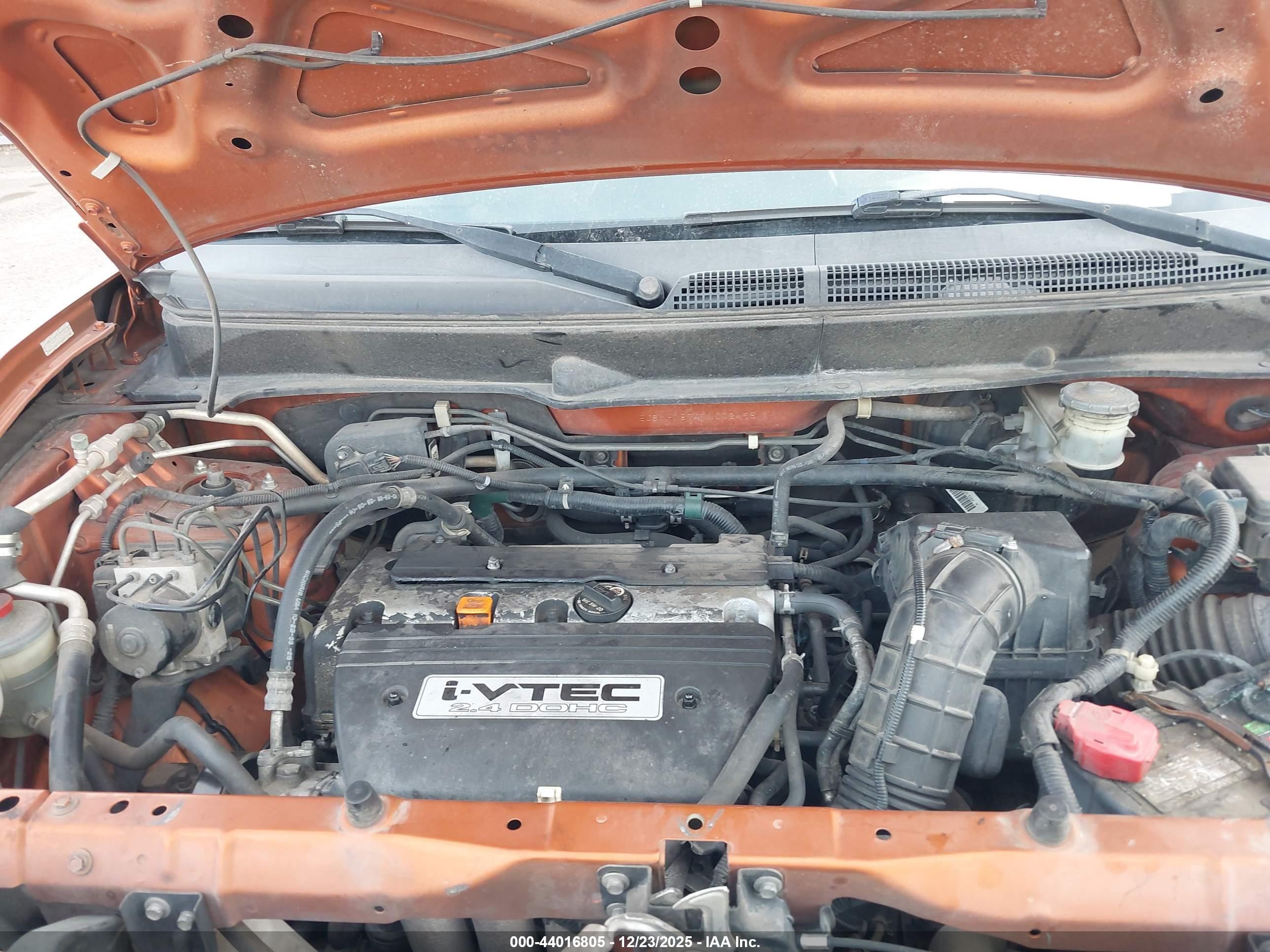 HONDA ELEMENT image 10