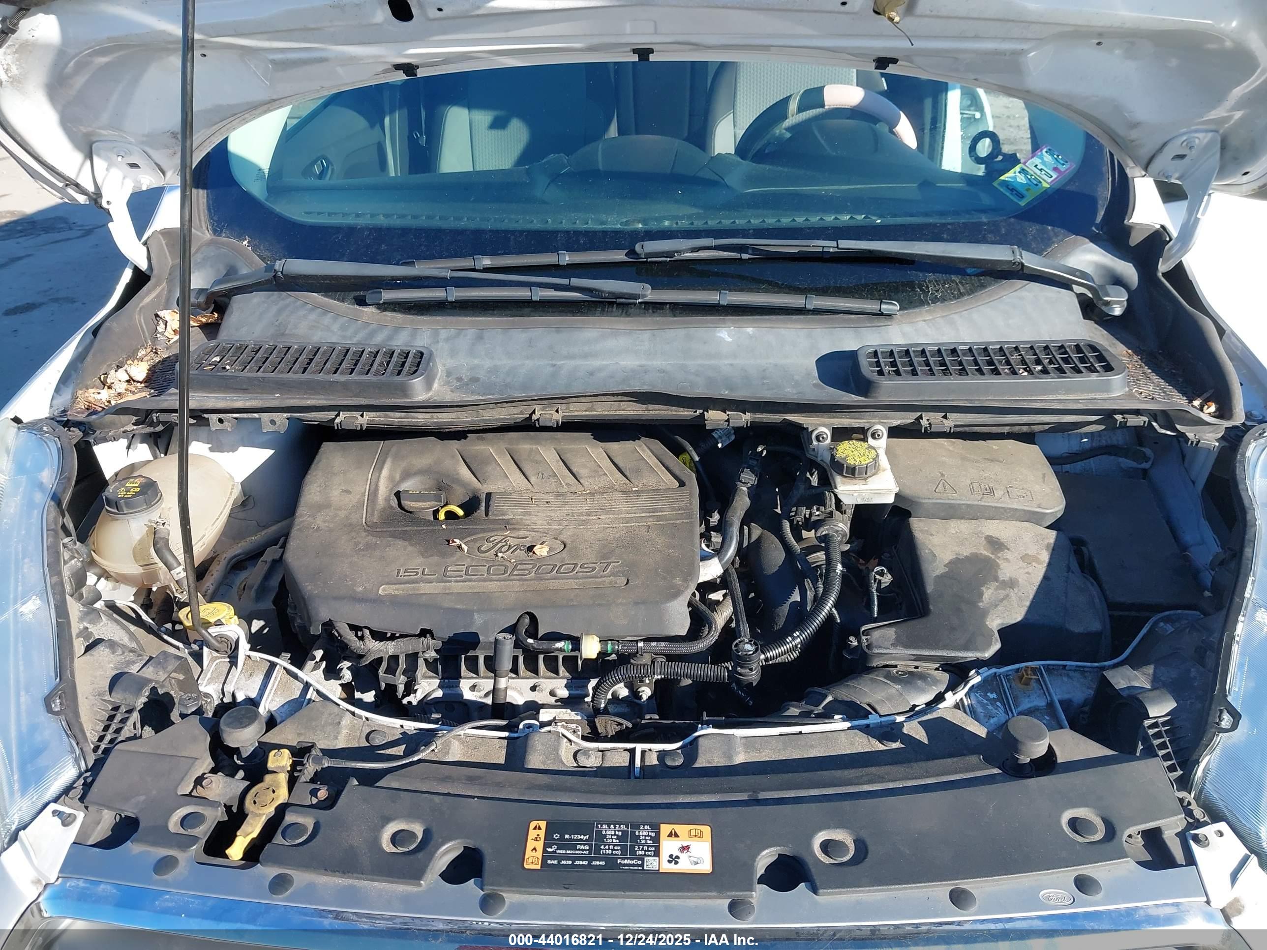 FORD ESCAPE image 10