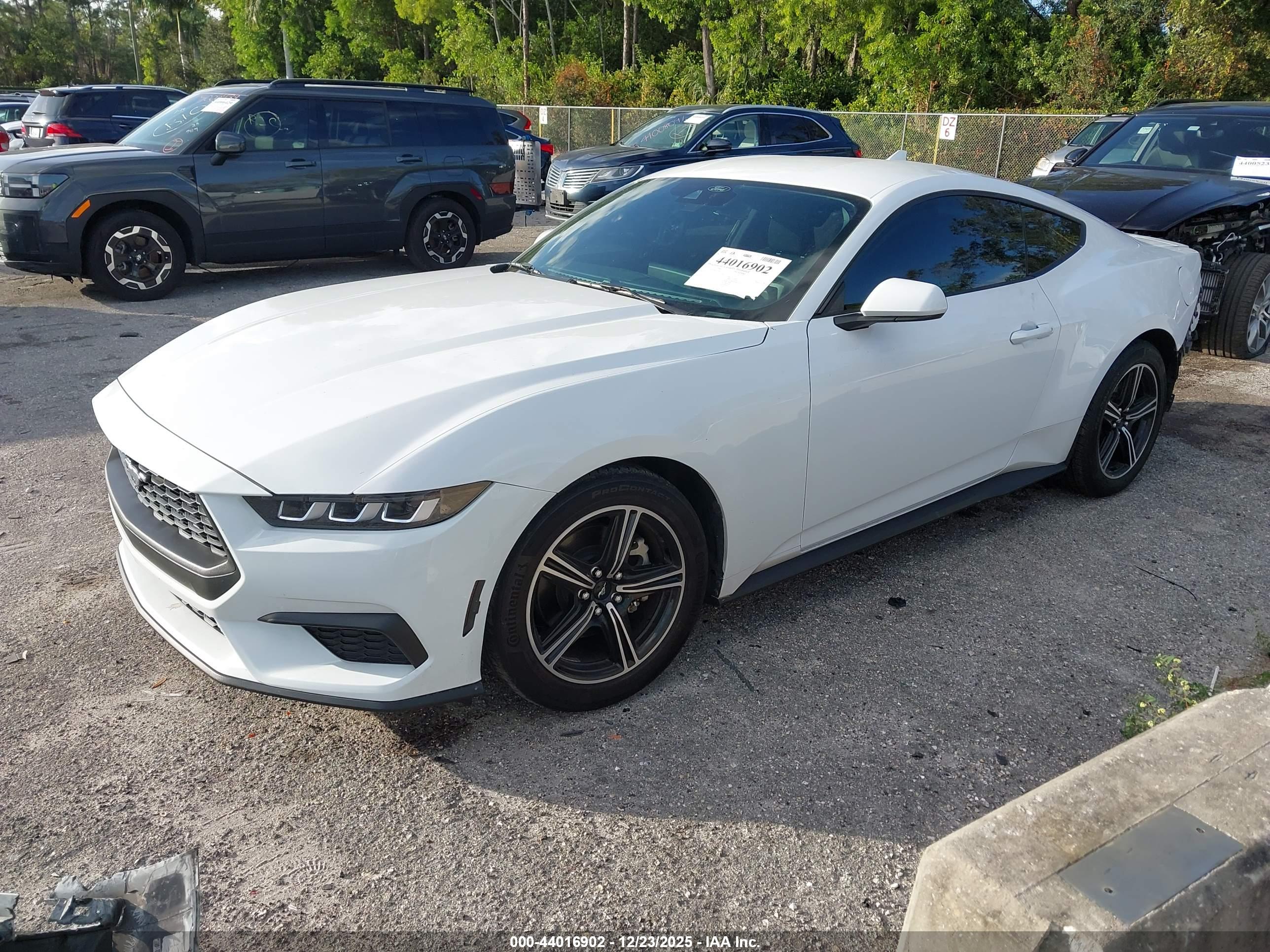 FORD MUSTANG image 2