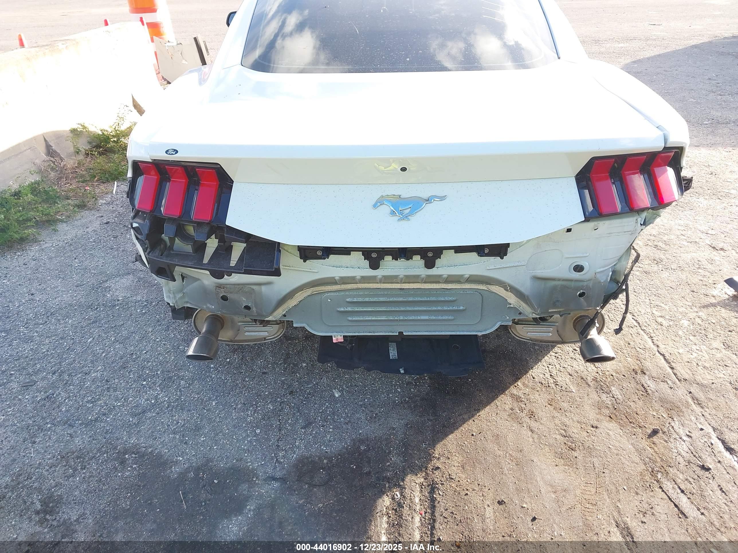 FORD MUSTANG image 6