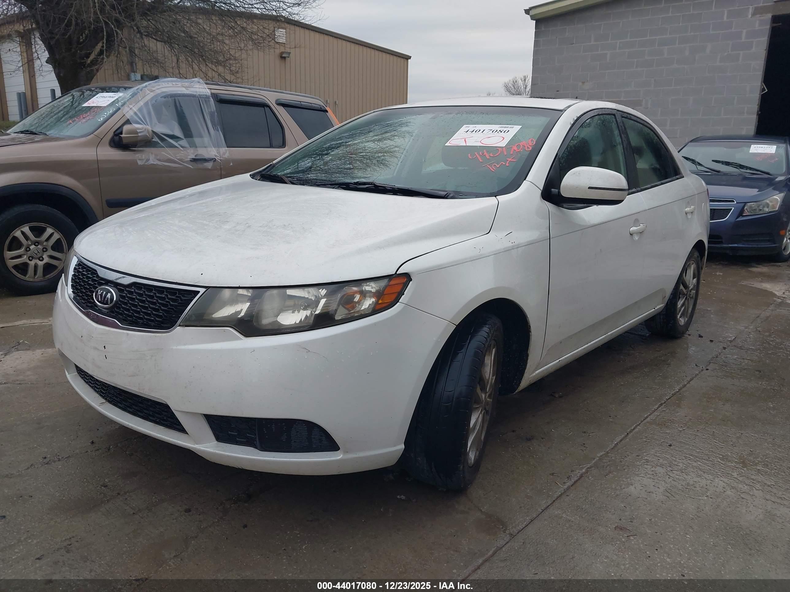 KIA FORTE image 2