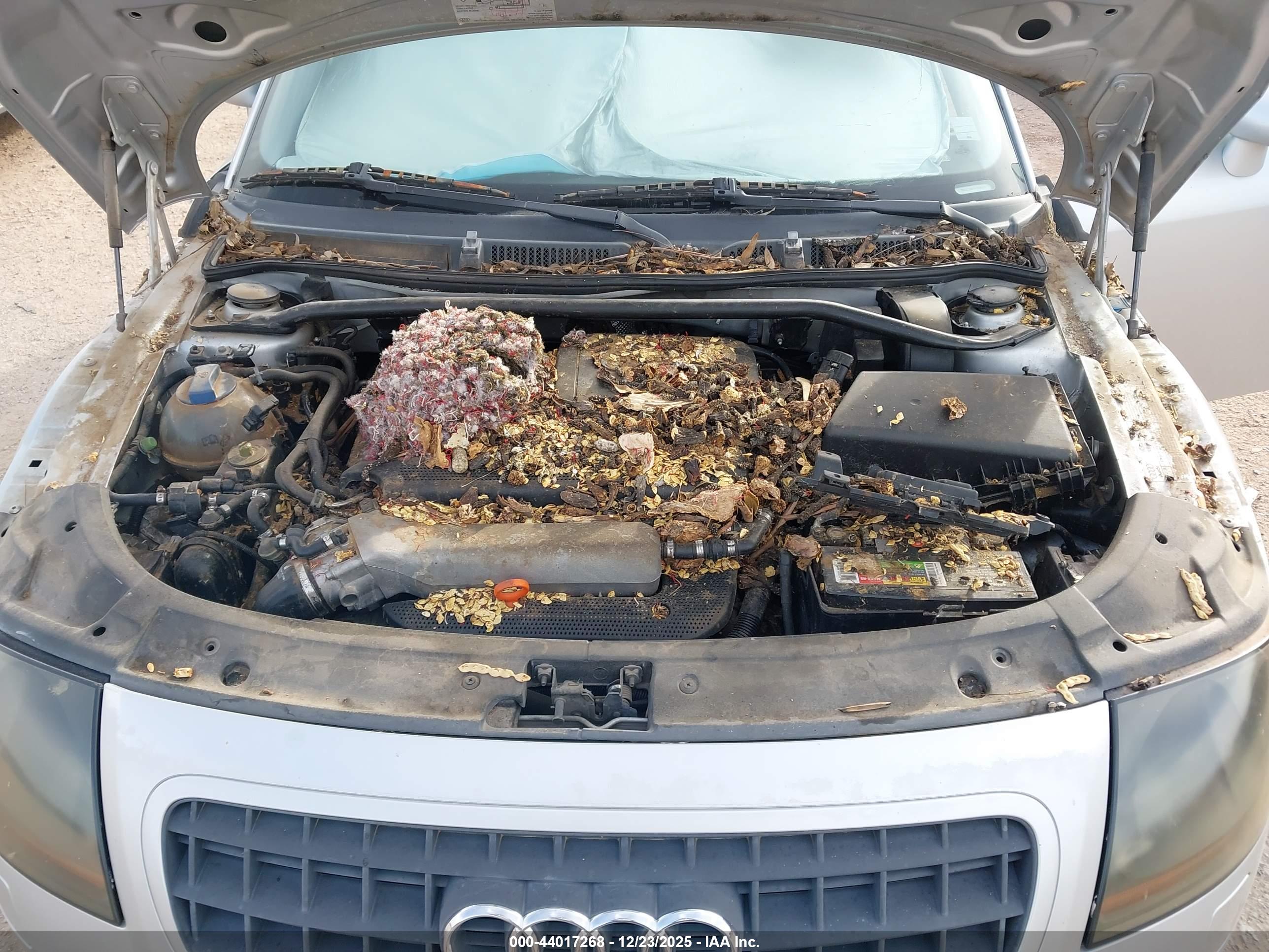 AUDI TT image 10