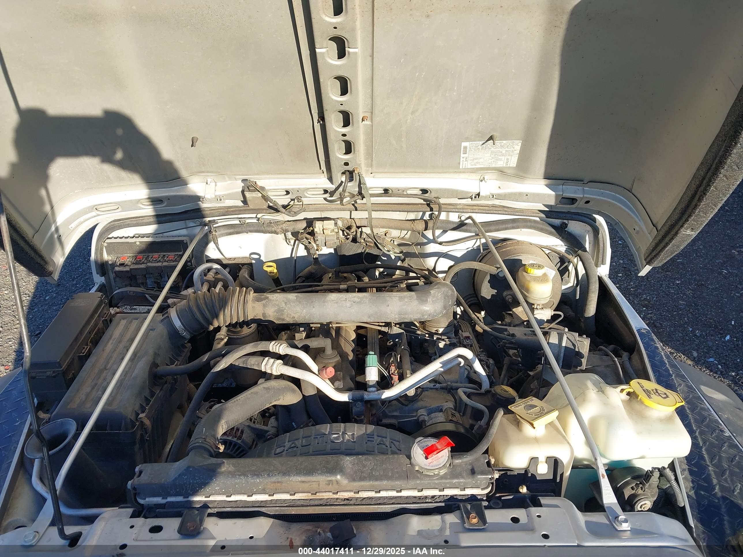 JEEP WRANGLER image 10