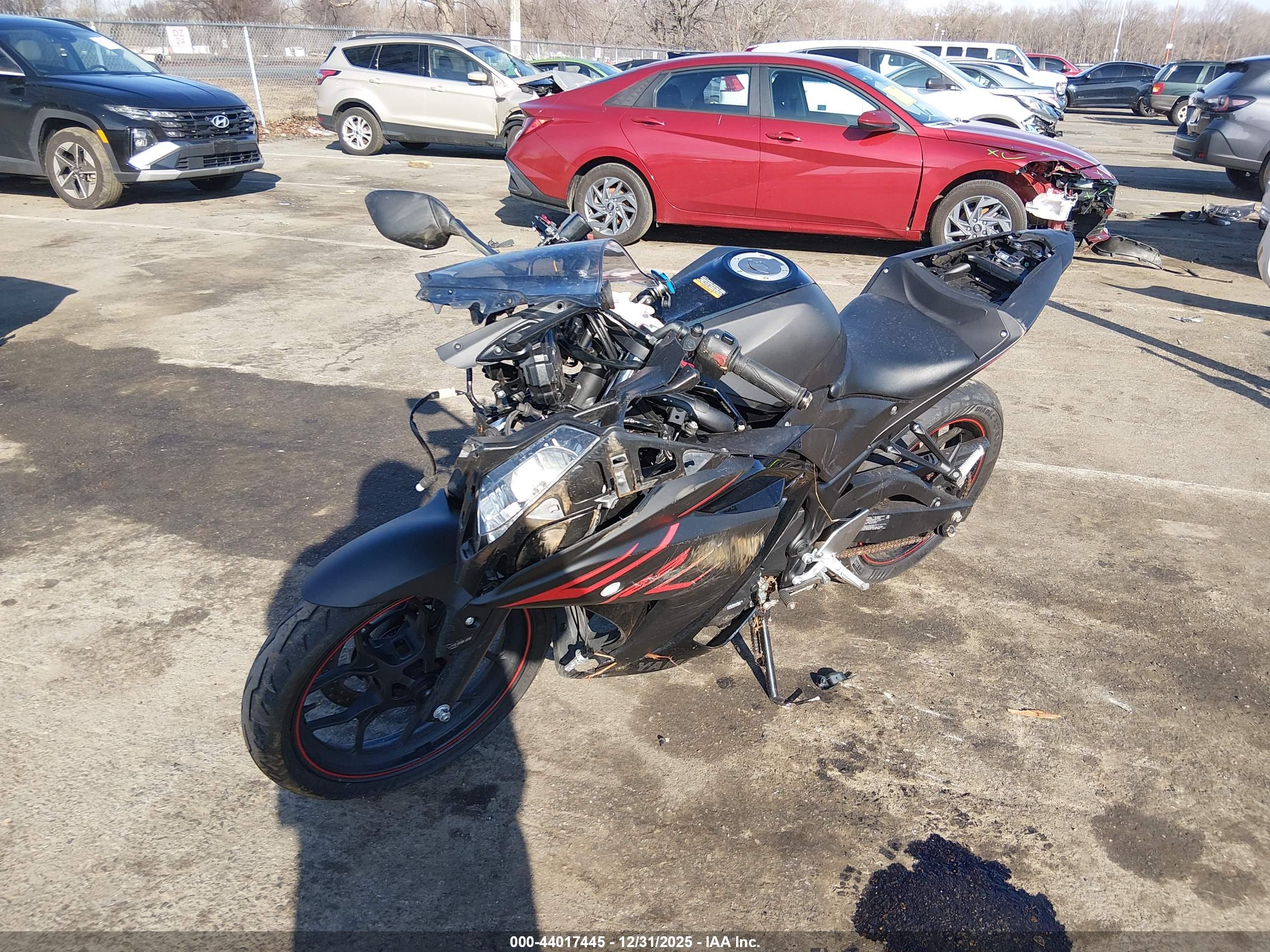 YAMAHA YZFR3 image 2
