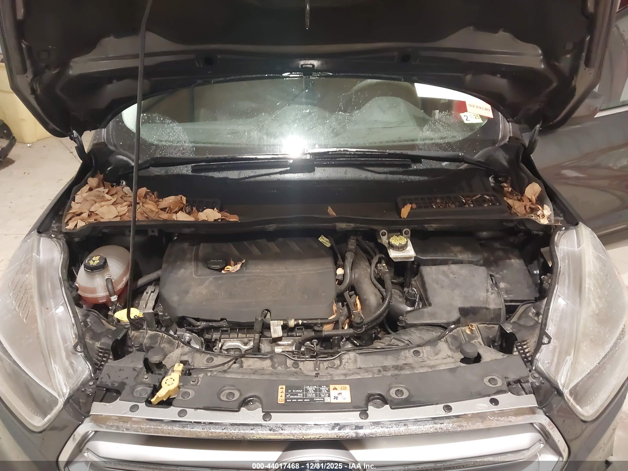 FORD ESCAPE image 10