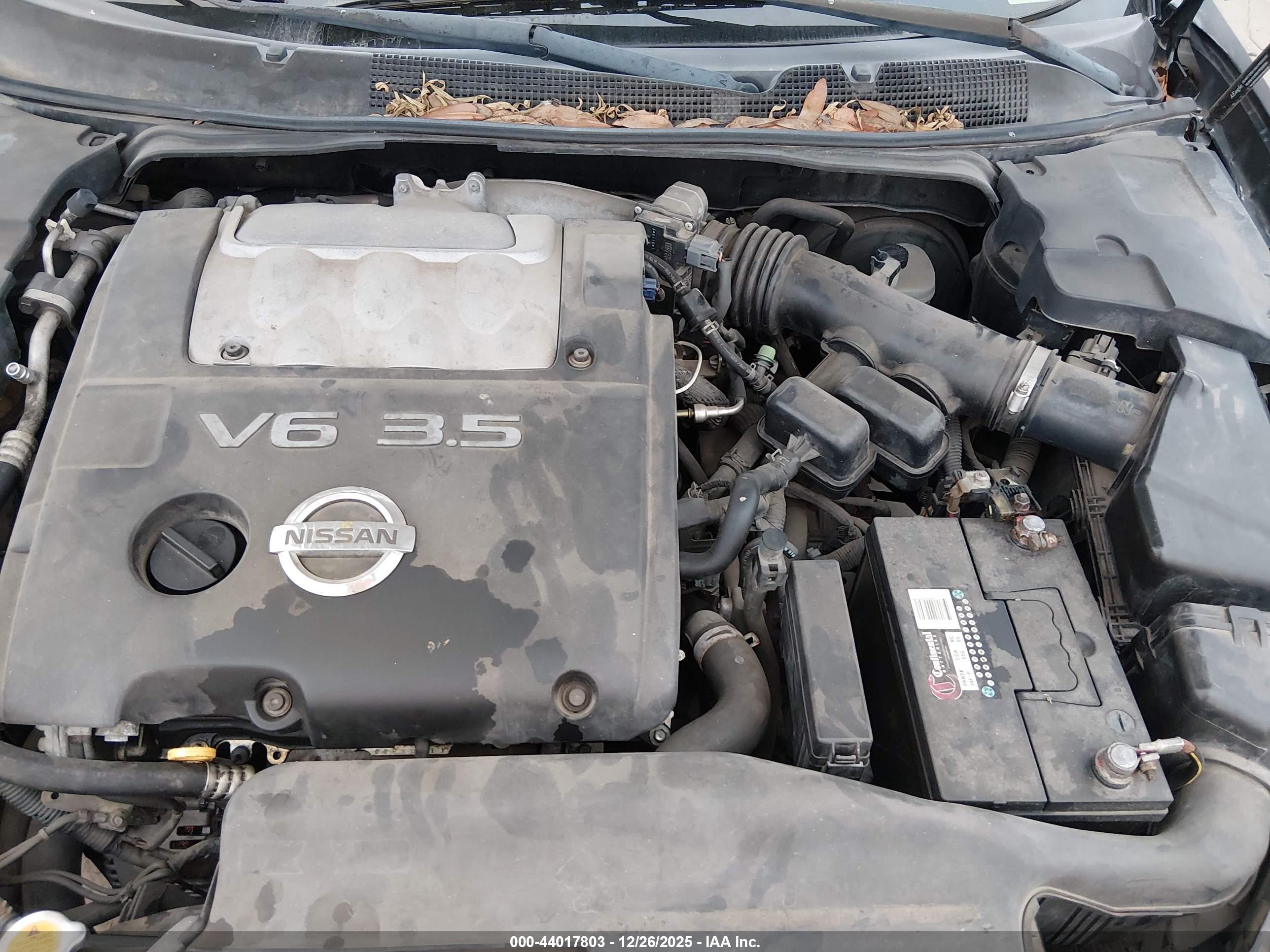NISSAN MAXIMA image 10