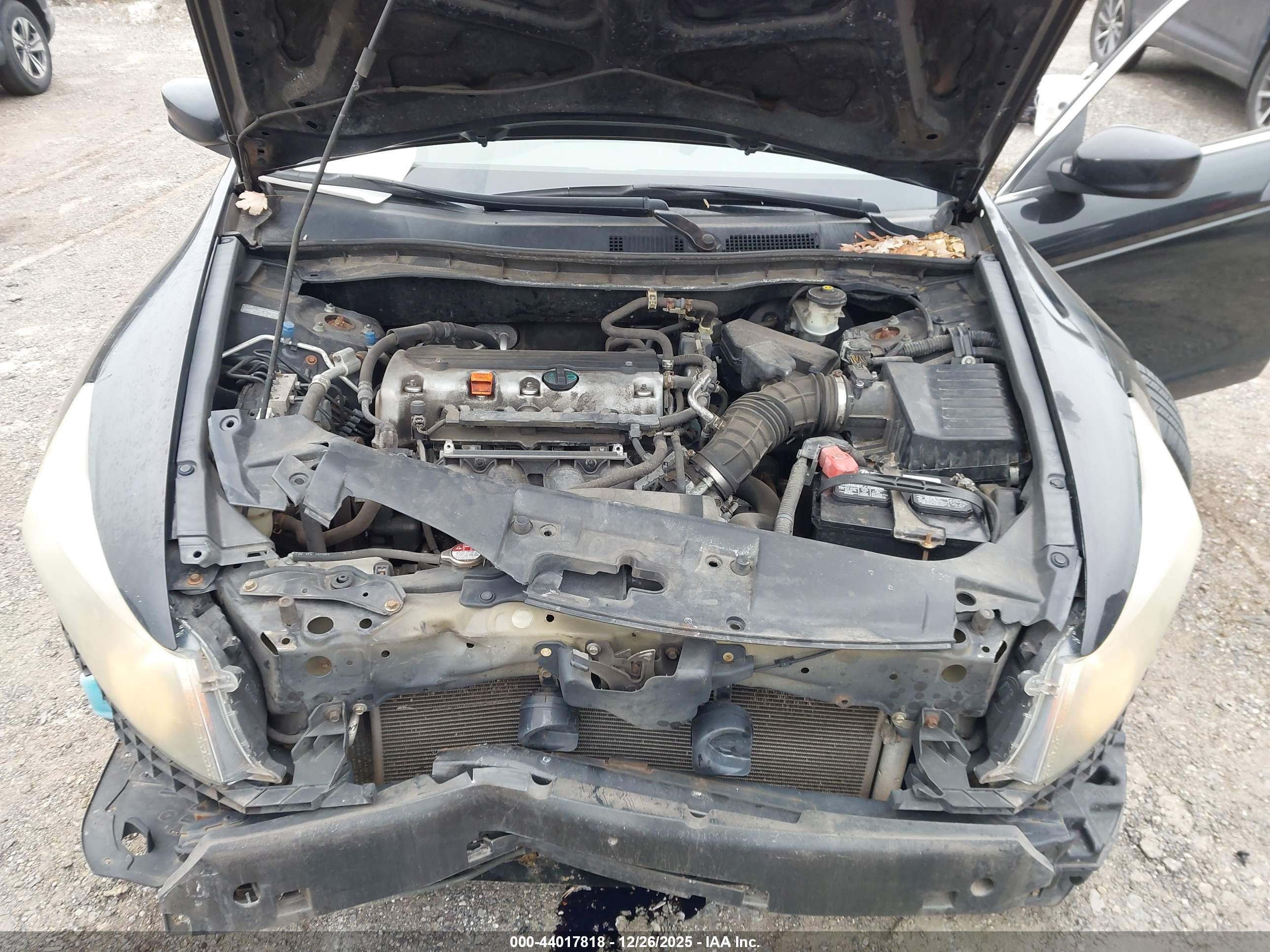 HONDA ACCORD image 10