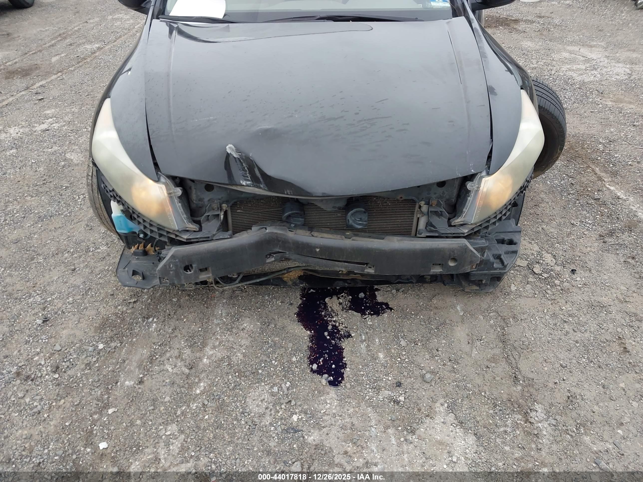 HONDA ACCORD image 6