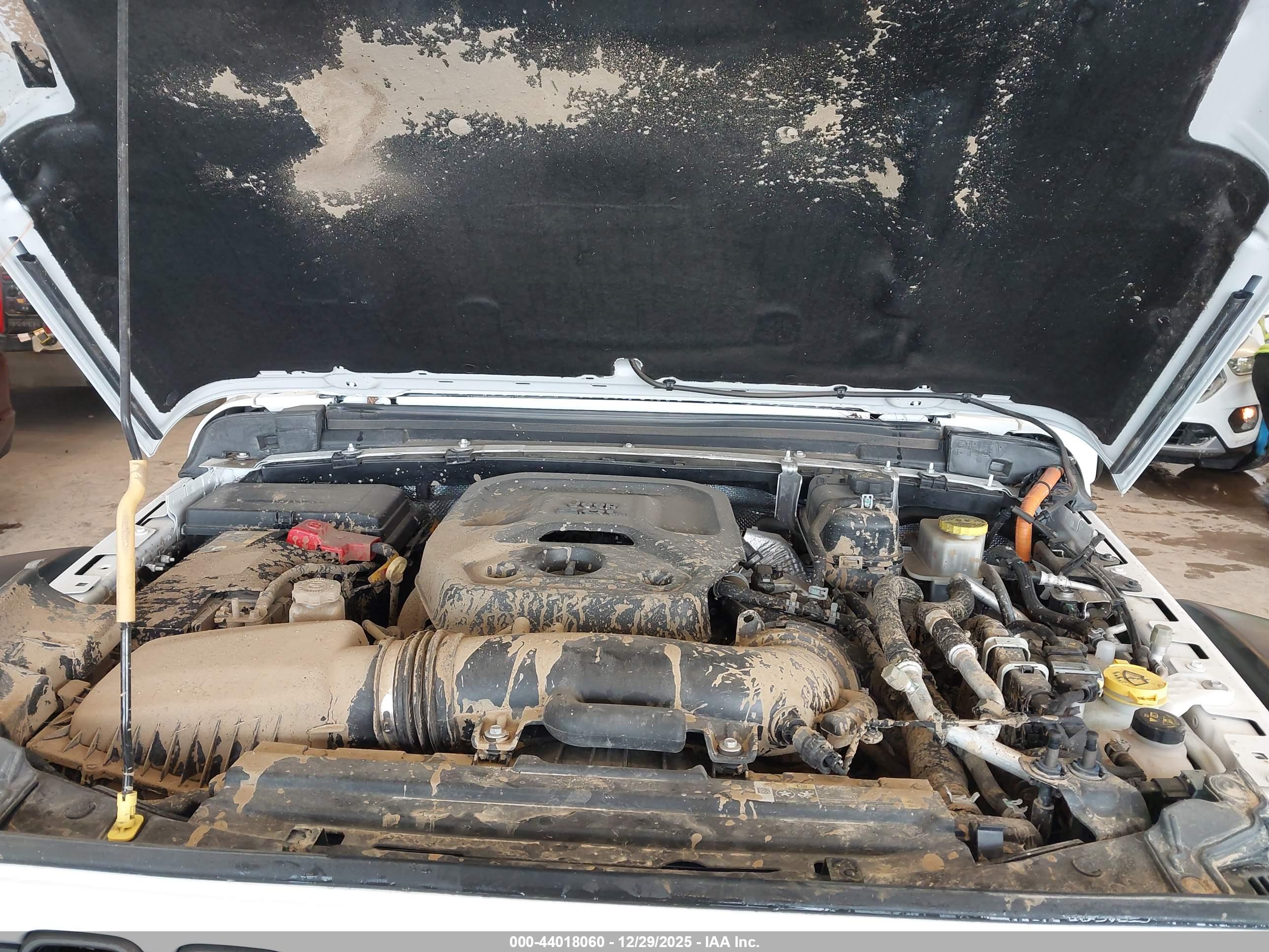 JEEP WRANGLER image 10