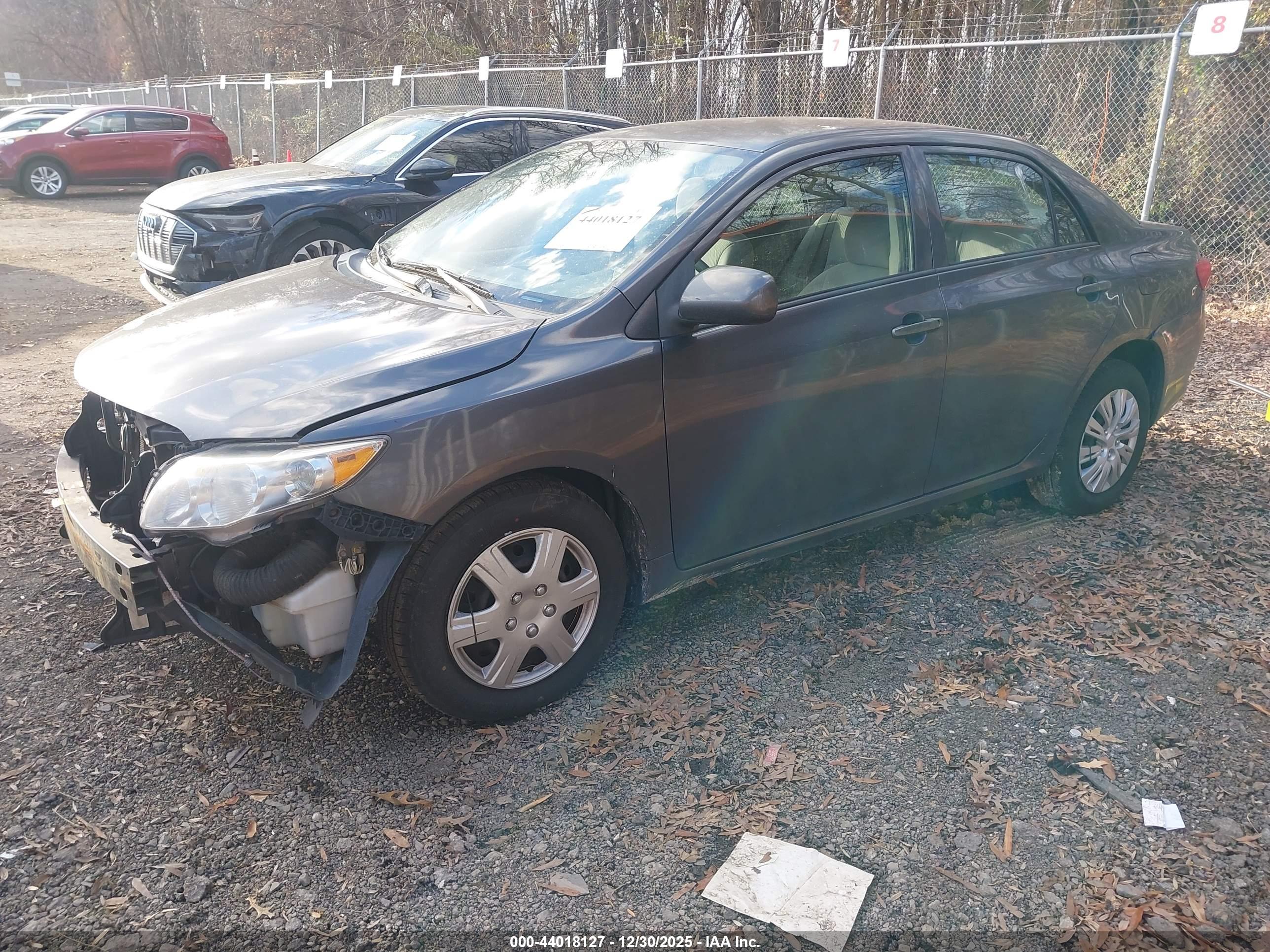 TOYOTA COROLLA image 2