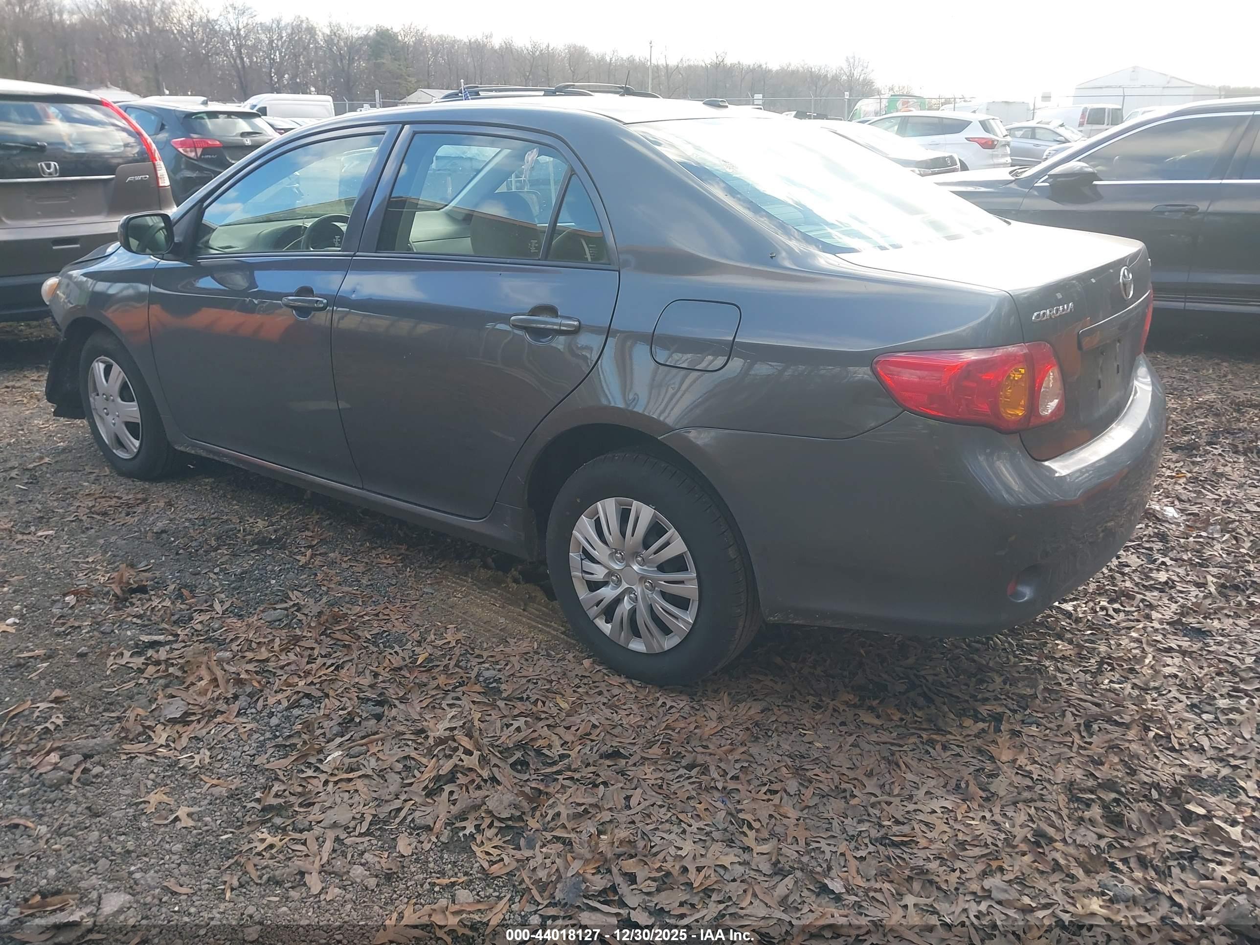TOYOTA COROLLA image 3