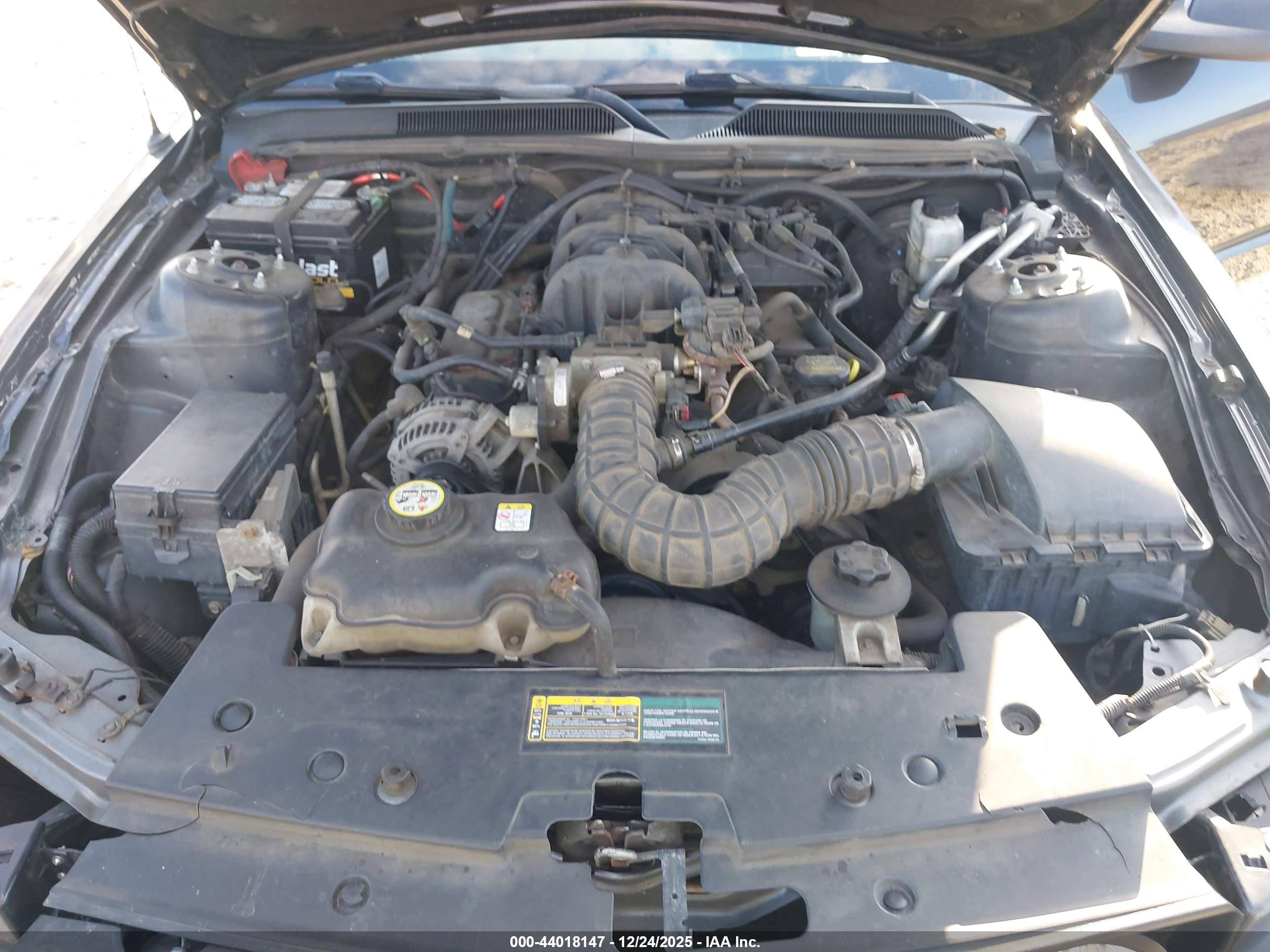 FORD MUSTANG image 10