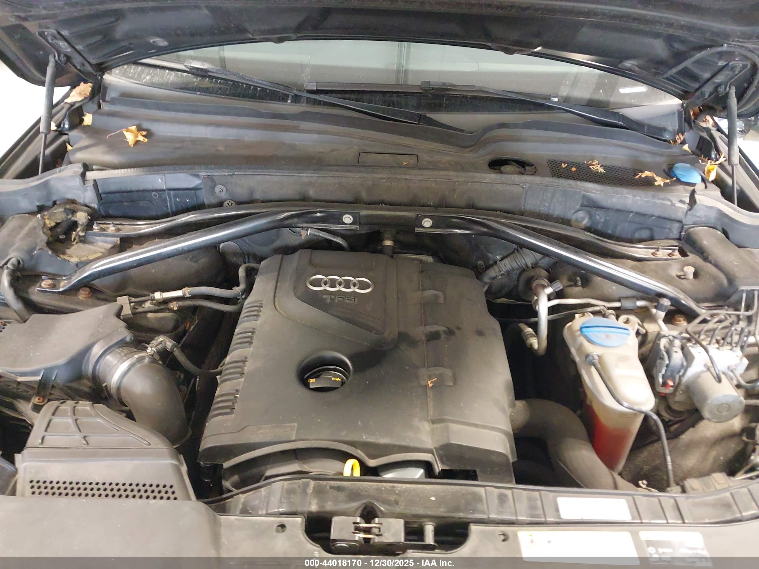AUDI Q5 image 10