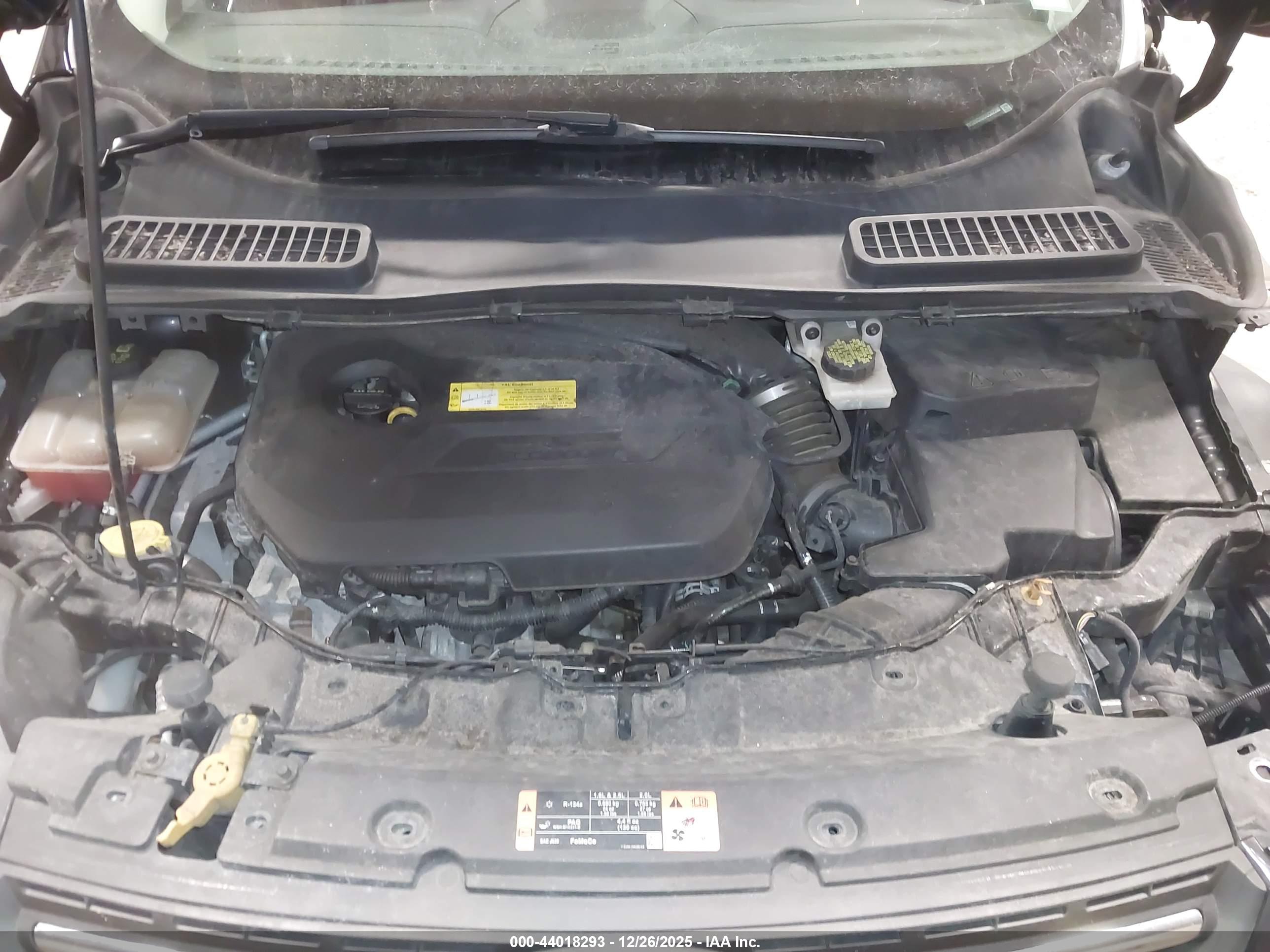 FORD ESCAPE image 10