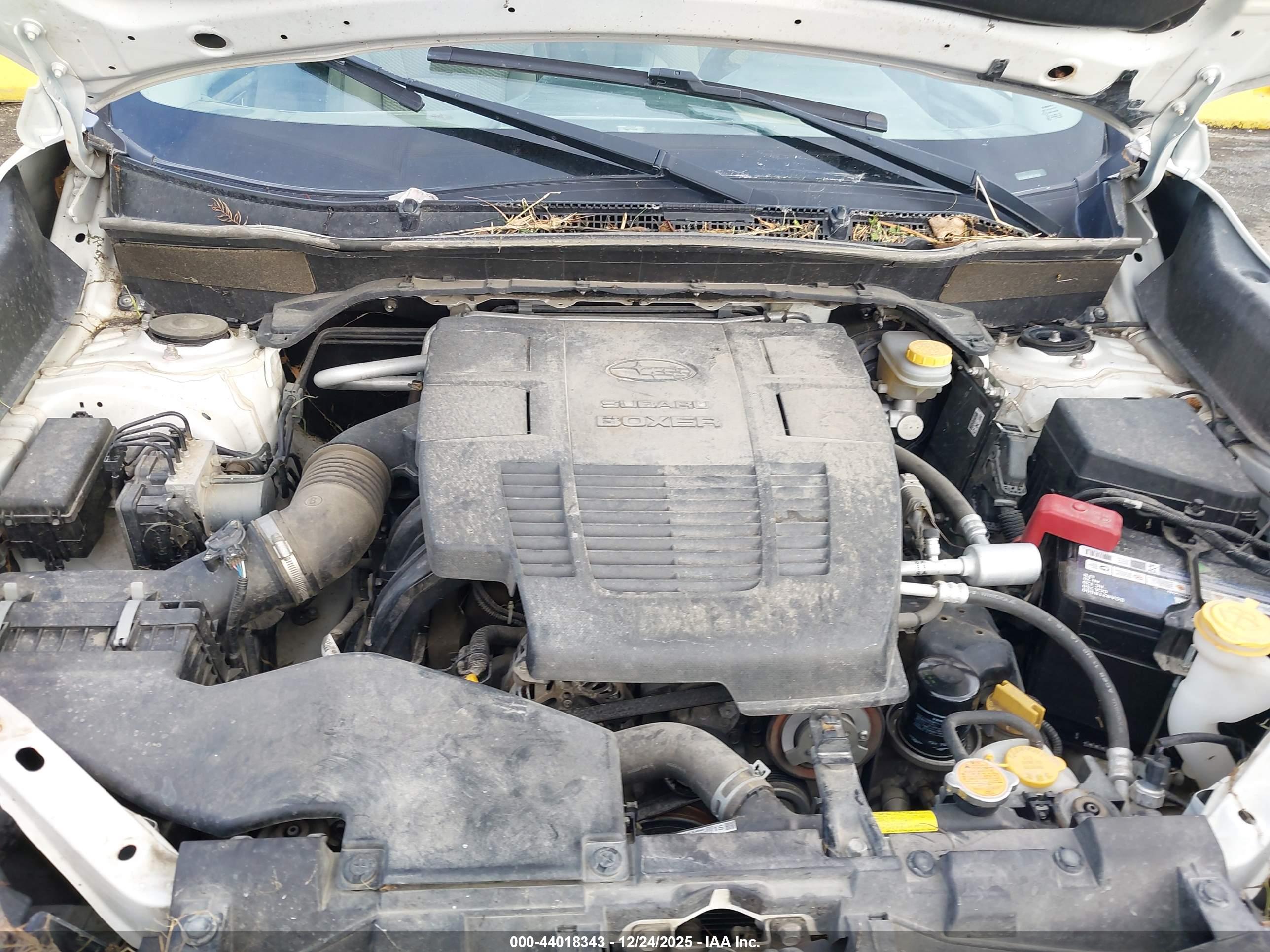 SUBARU FORESTER image 10
