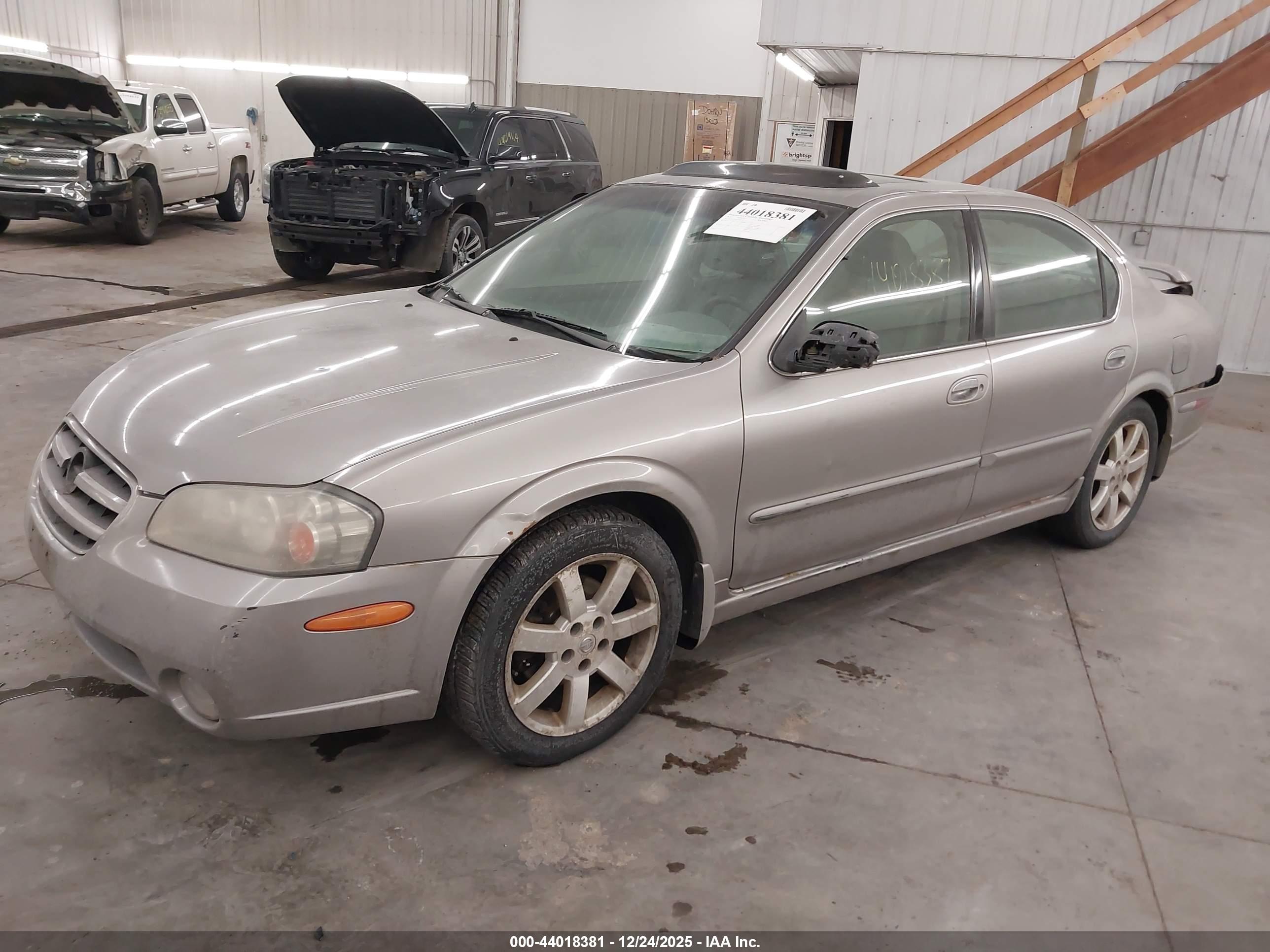 NISSAN MAXIMA image 2