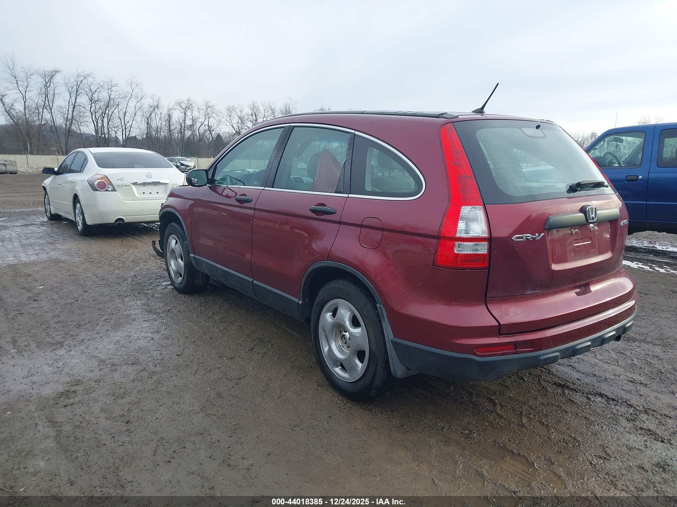 HONDA CR-V image 3